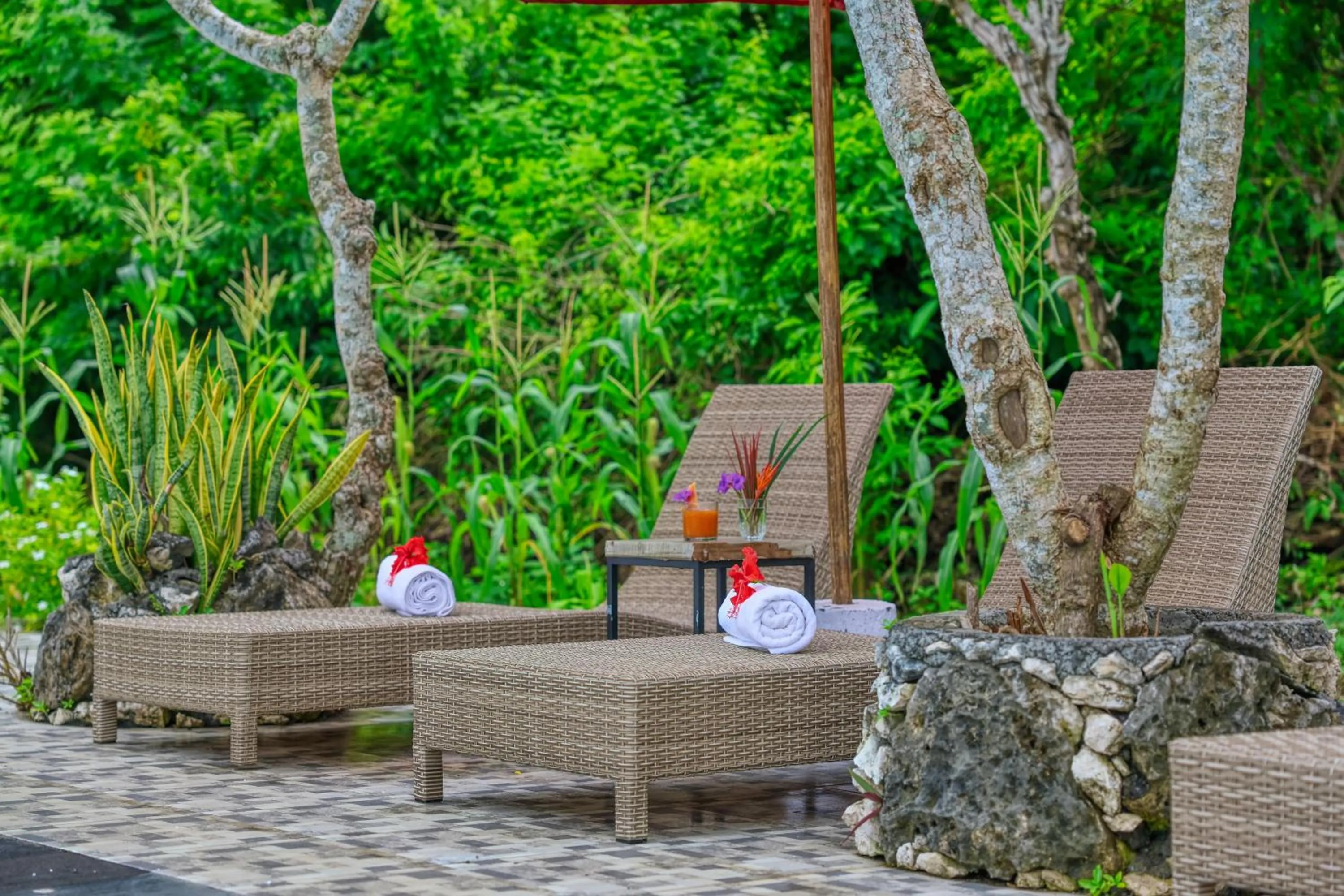 Swimming pool in Petak Cottage