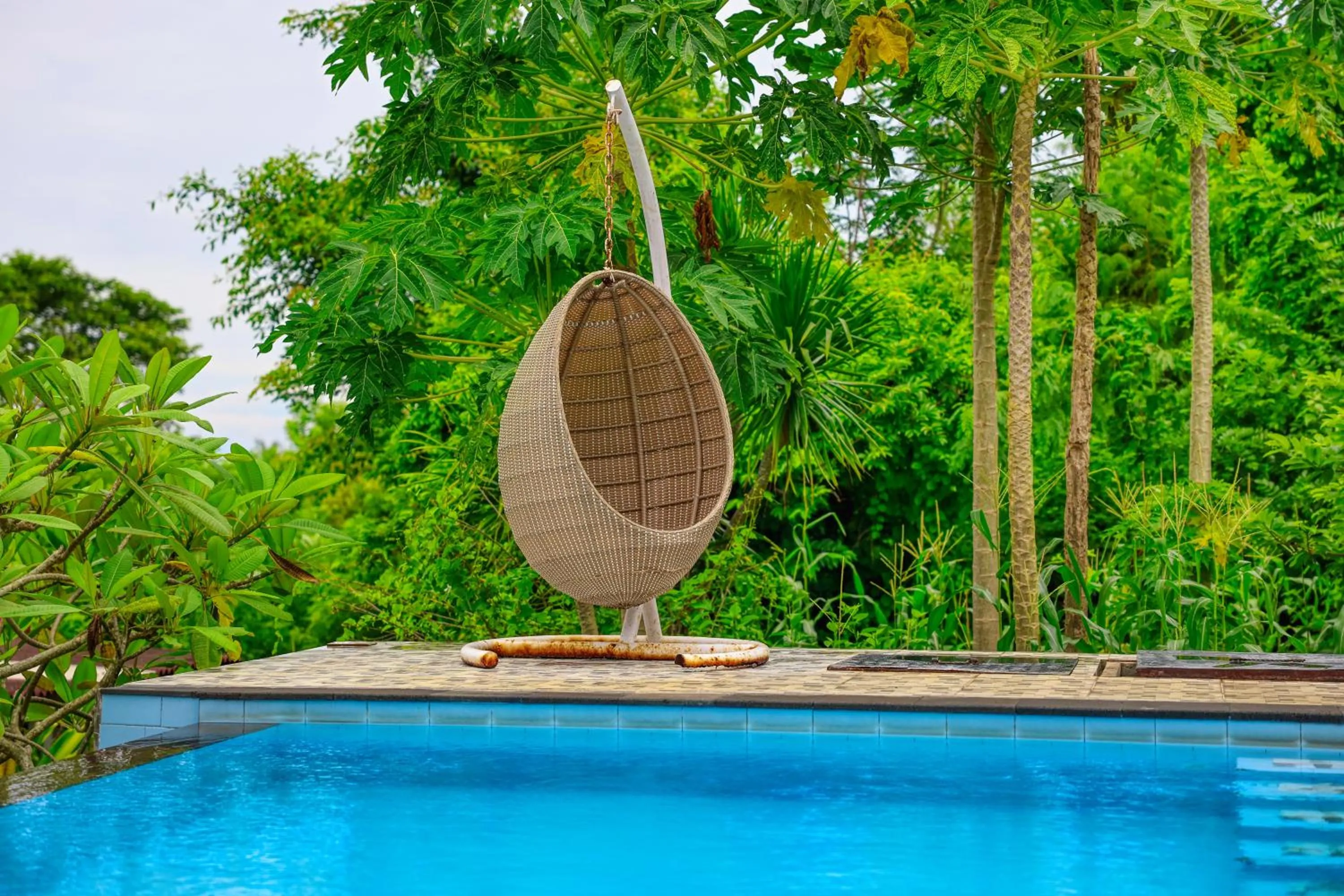 Swimming pool in Petak Cottage