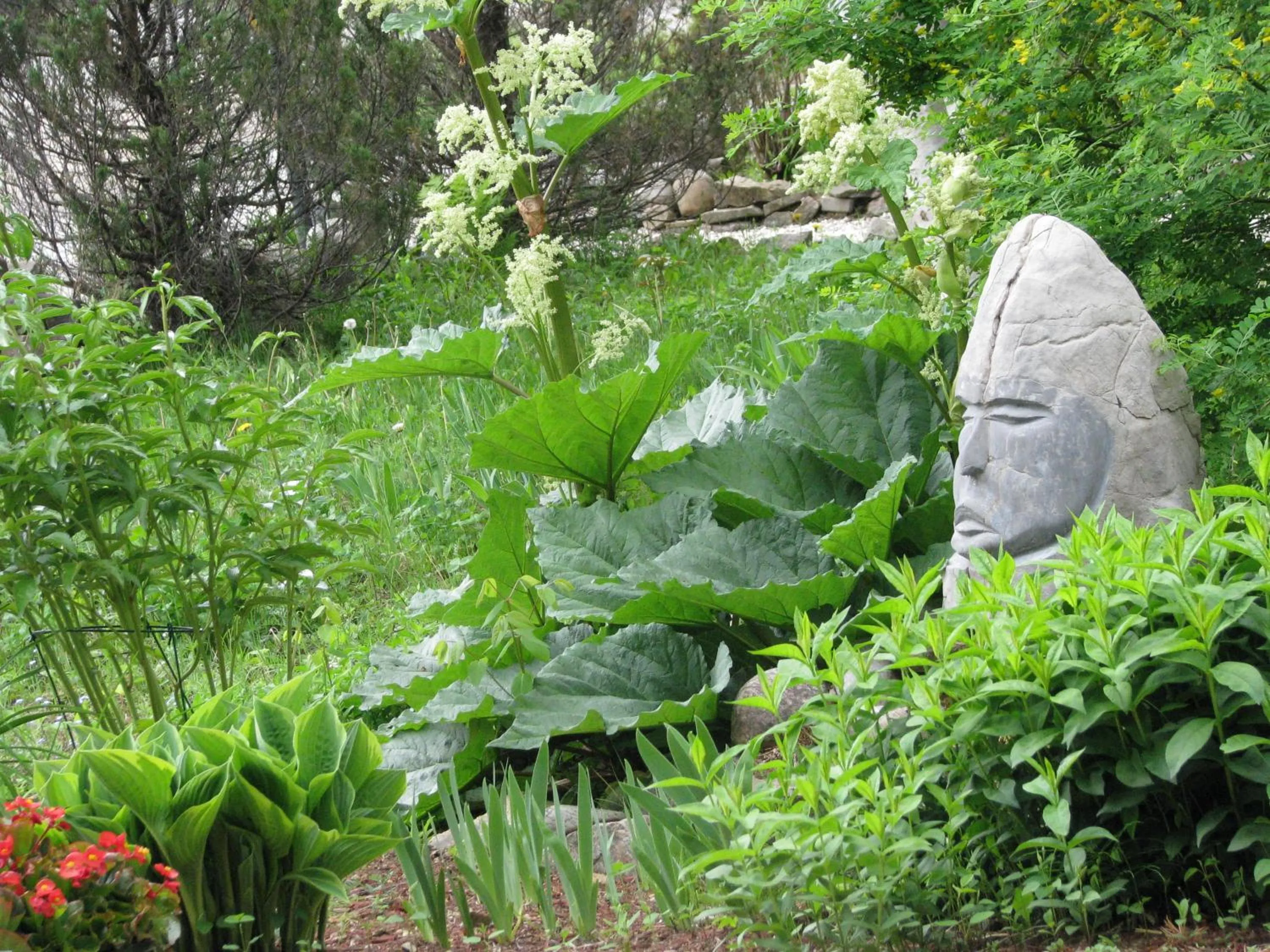 Garden in Auberge Cap aux Corbeaux