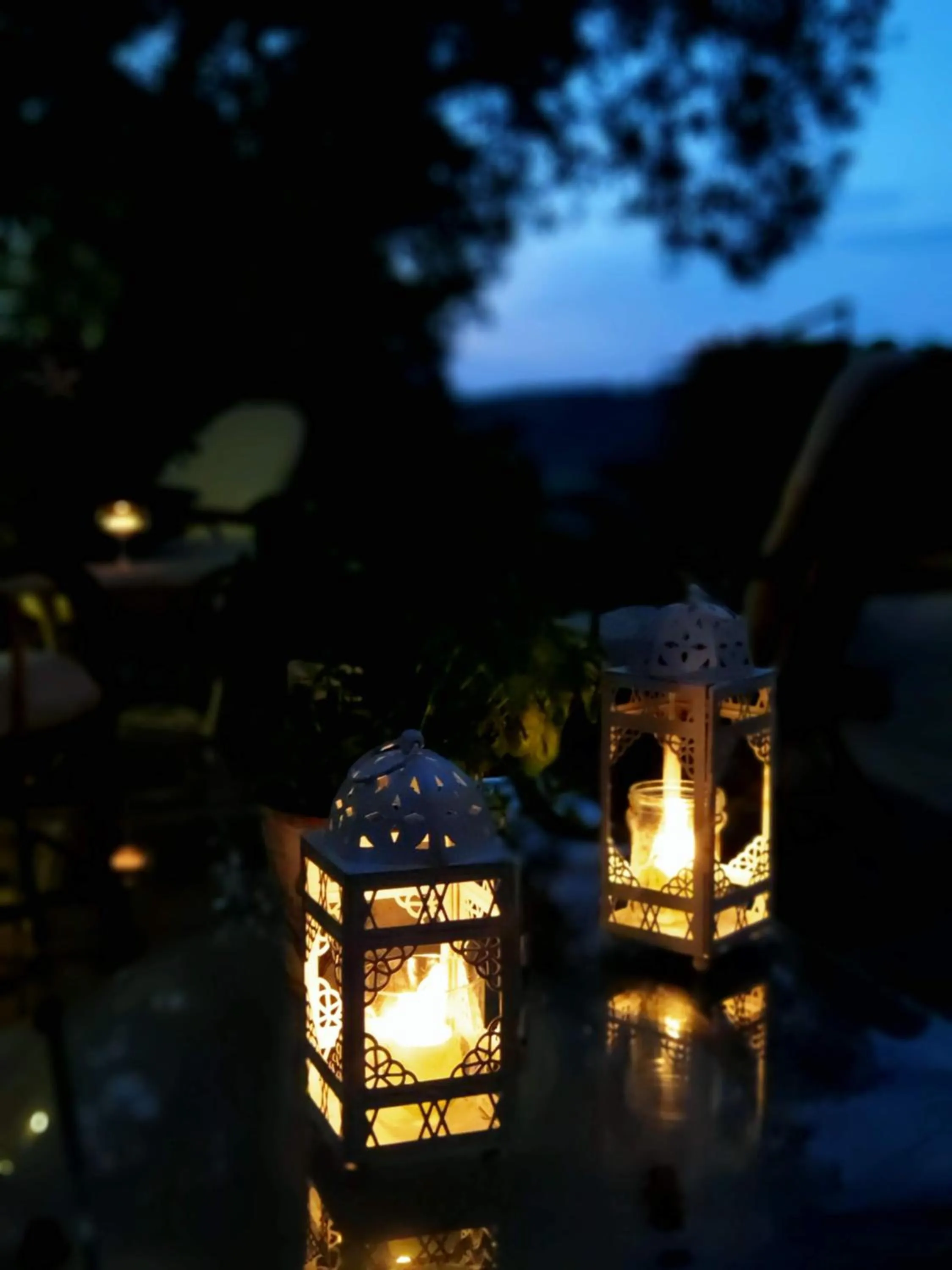 Garden in B&B Palazzo Mestichelli Boutique Palace