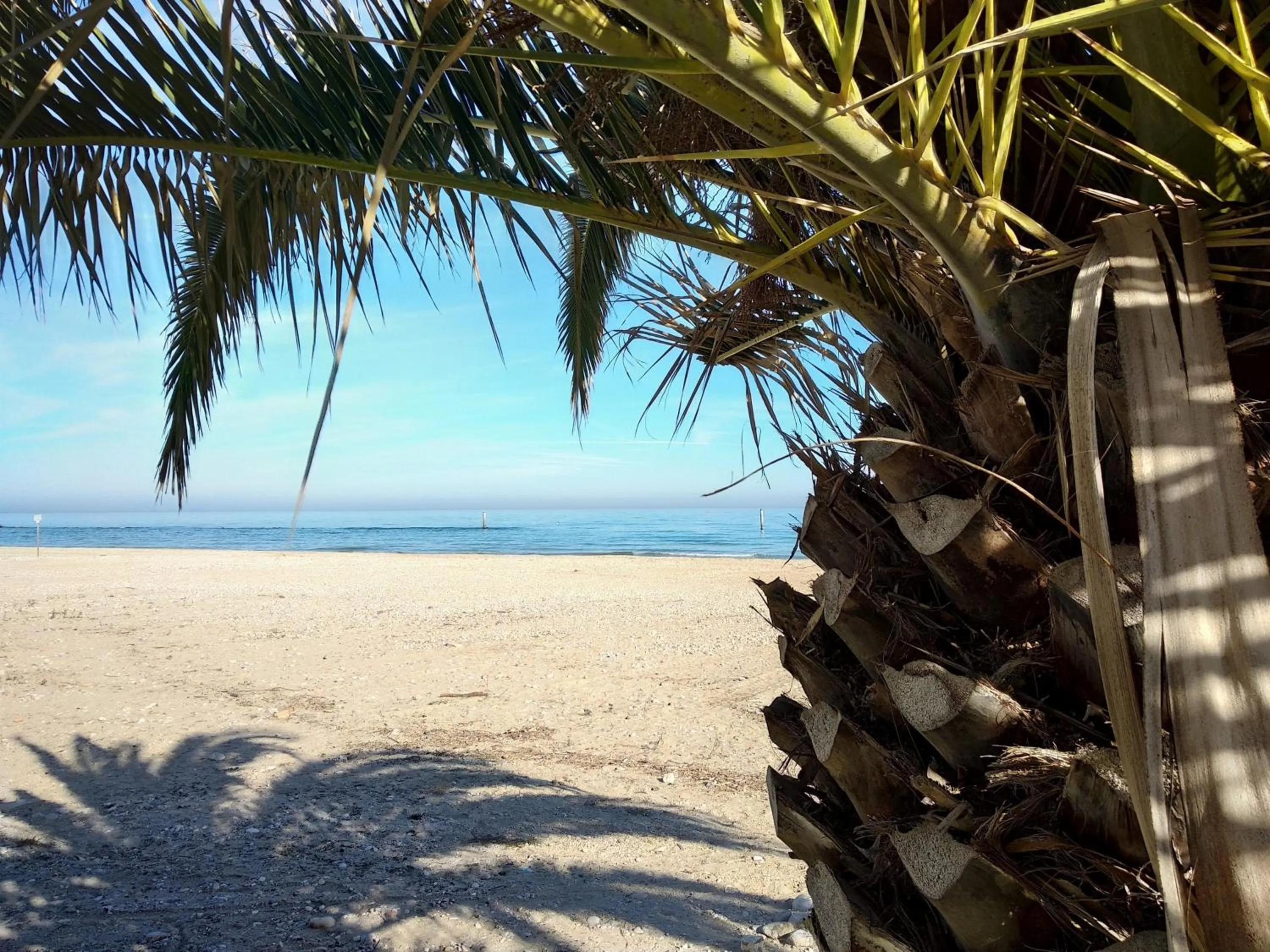 Beach in B&B Palazzo Mestichelli Boutique Palace