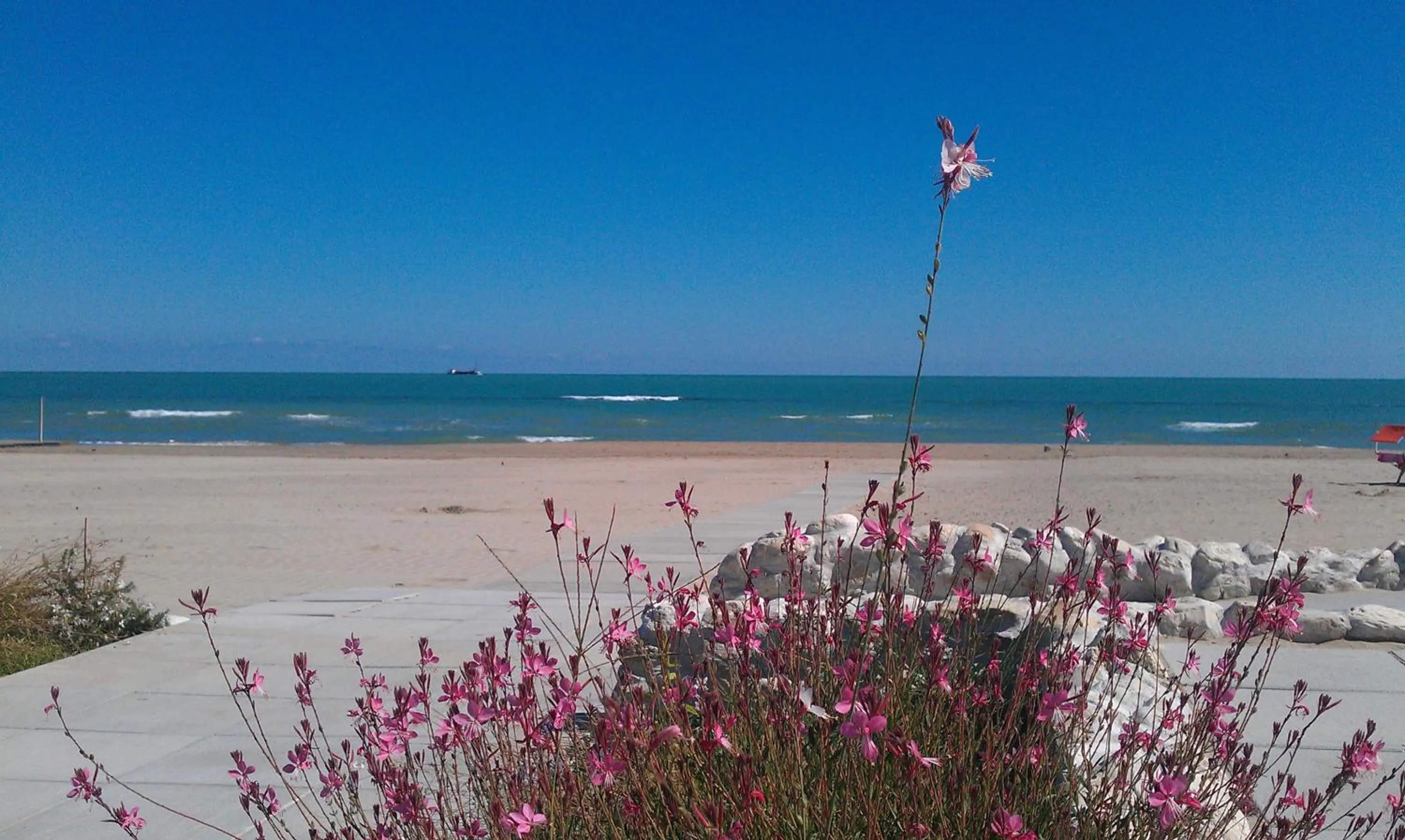 Beach in B&B Palazzo Mestichelli Boutique Palace