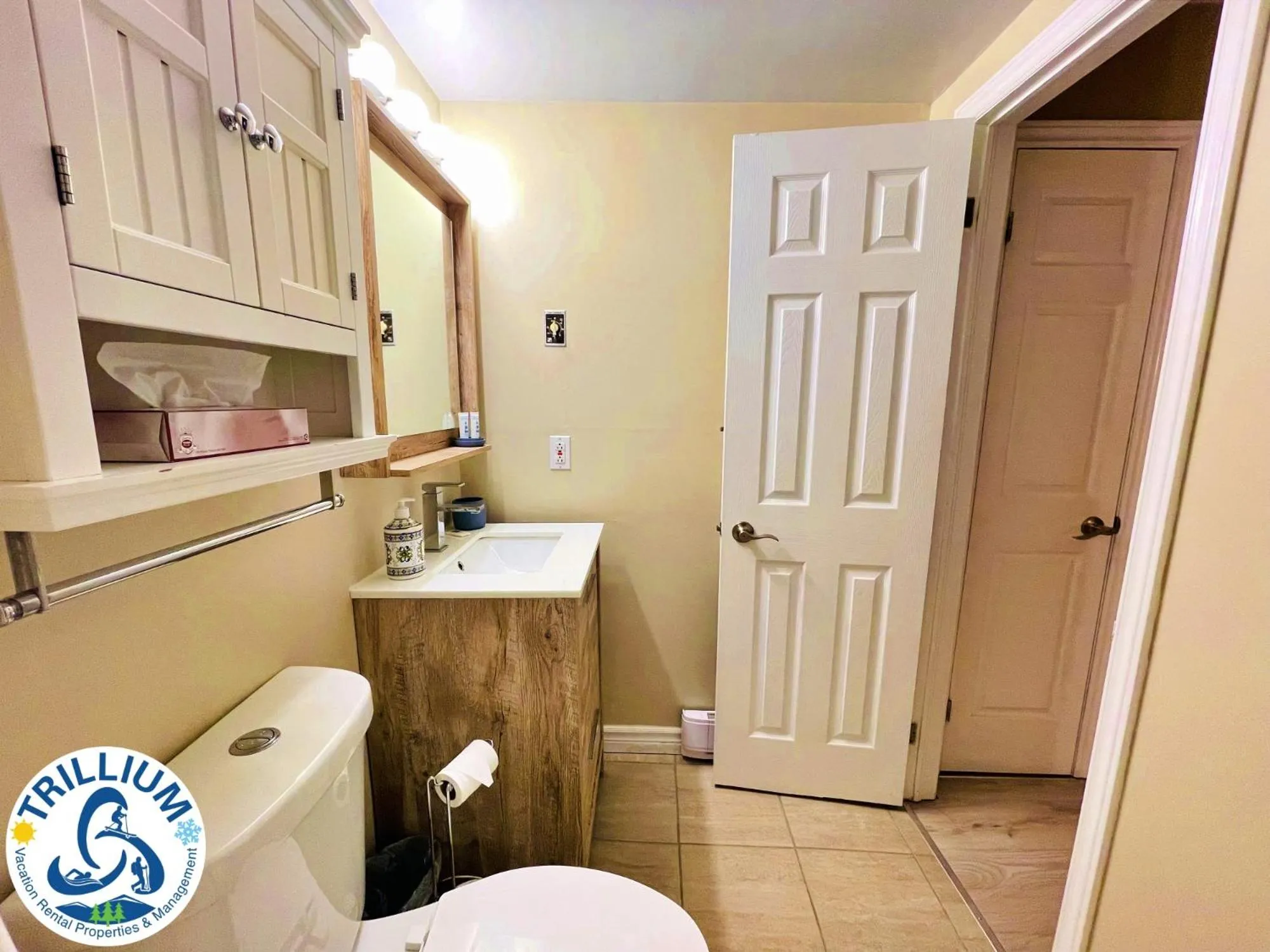 Rustic Mountainside Chalet