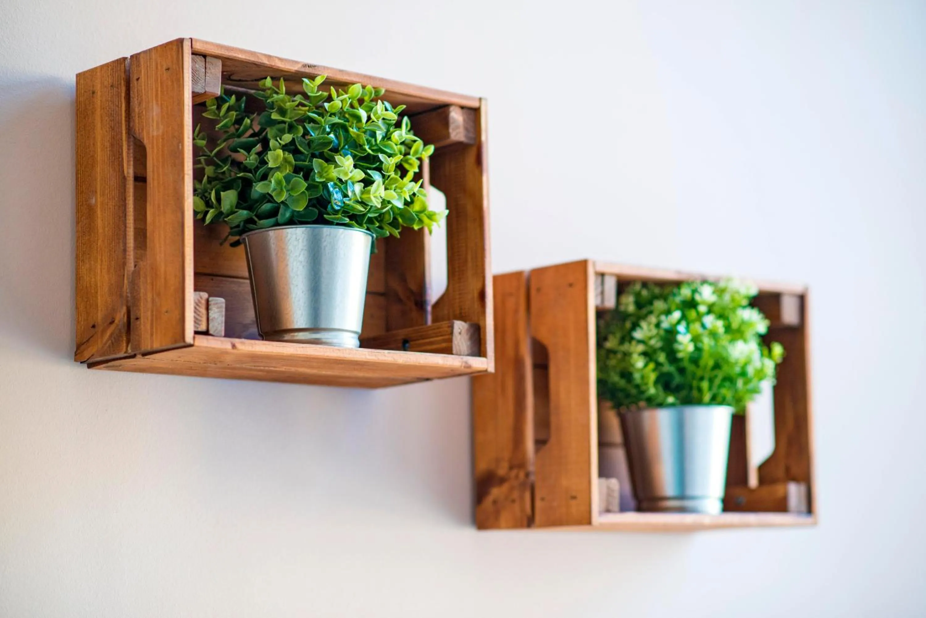 Decorative detail in Apartments Top Central 3