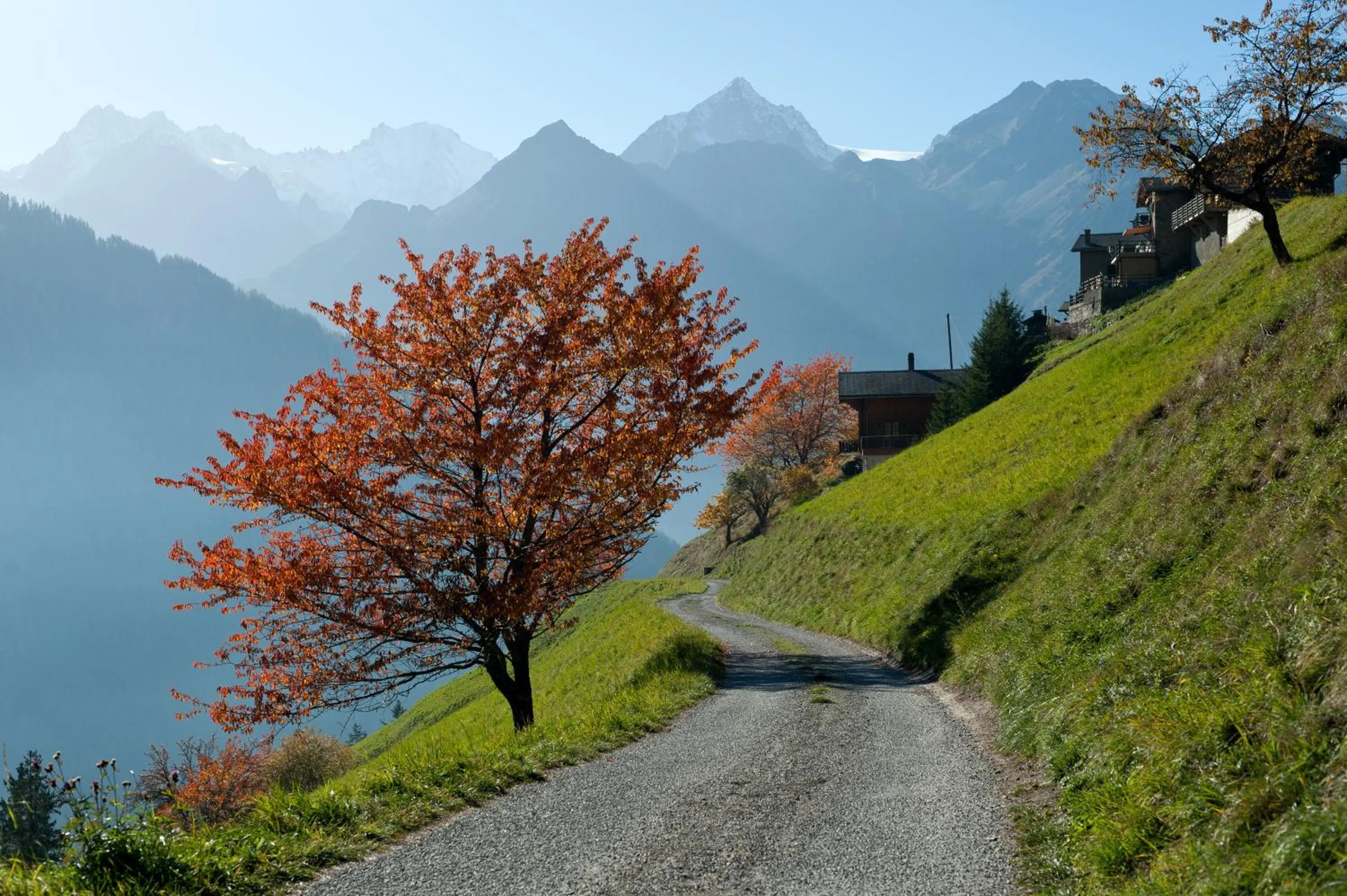 Off site in Montagne Alternative