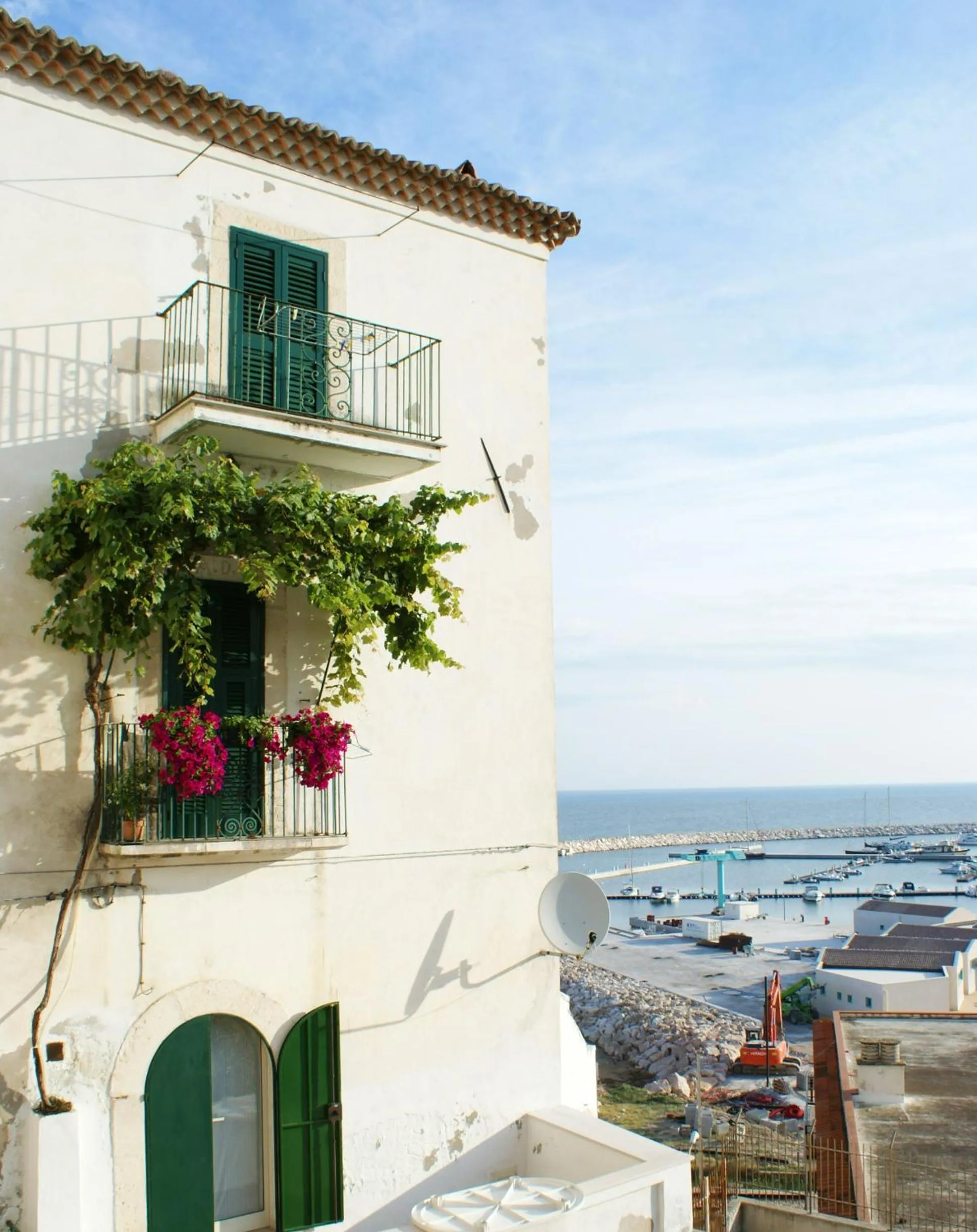 Area and facilities in Park Hotel Villa Americana