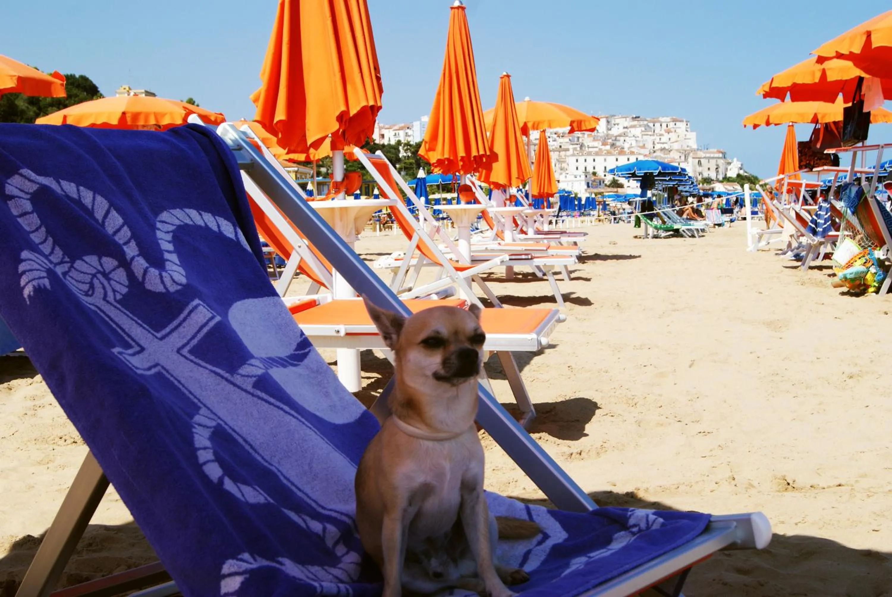 Beach in Park Hotel Villa Americana