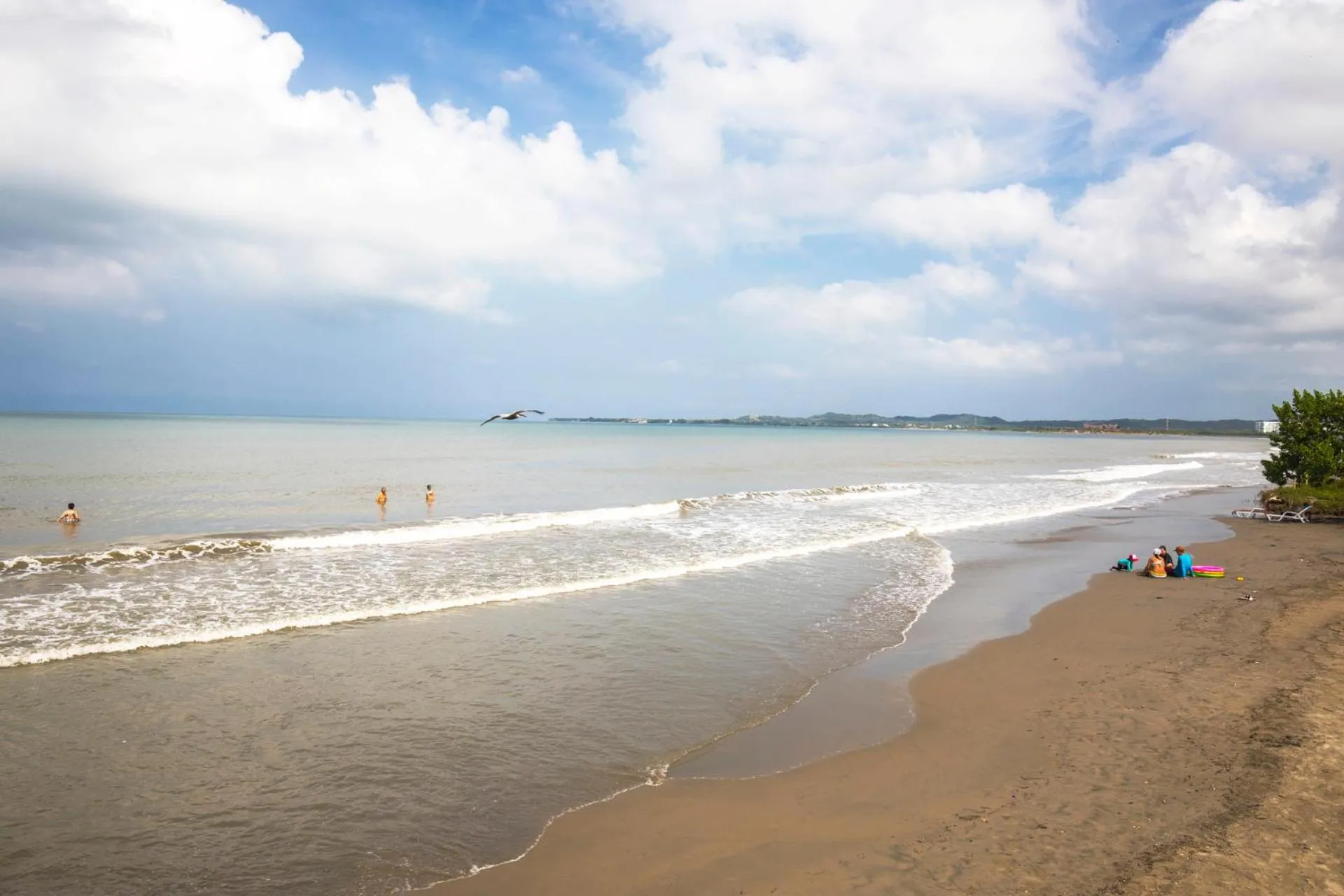 Beach in Estelar Playa Manzanillo - All inclusive