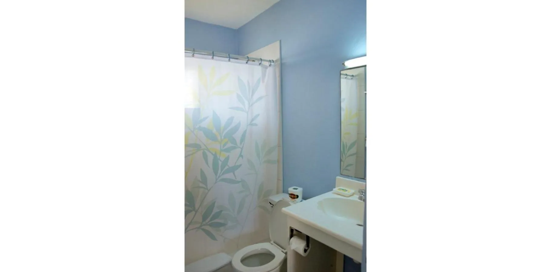 Toilet in Meridian Inn