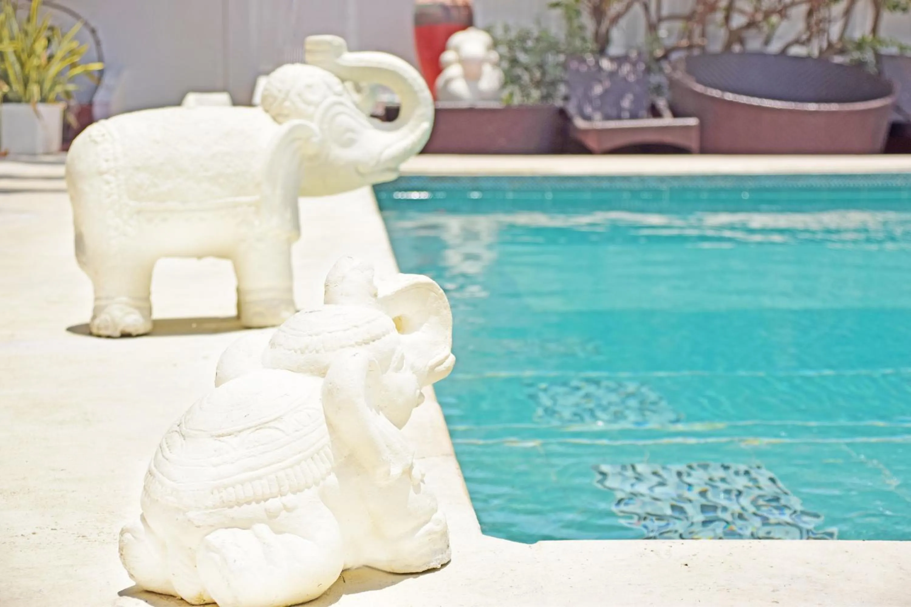 Swimming pool in Le Castel Blanc Hotel Boutique