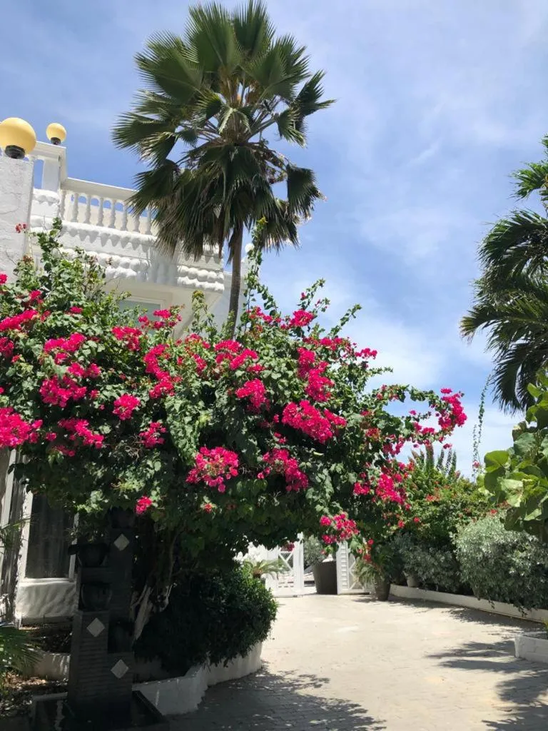 Garden view in Le Castel Blanc Hotel Boutique