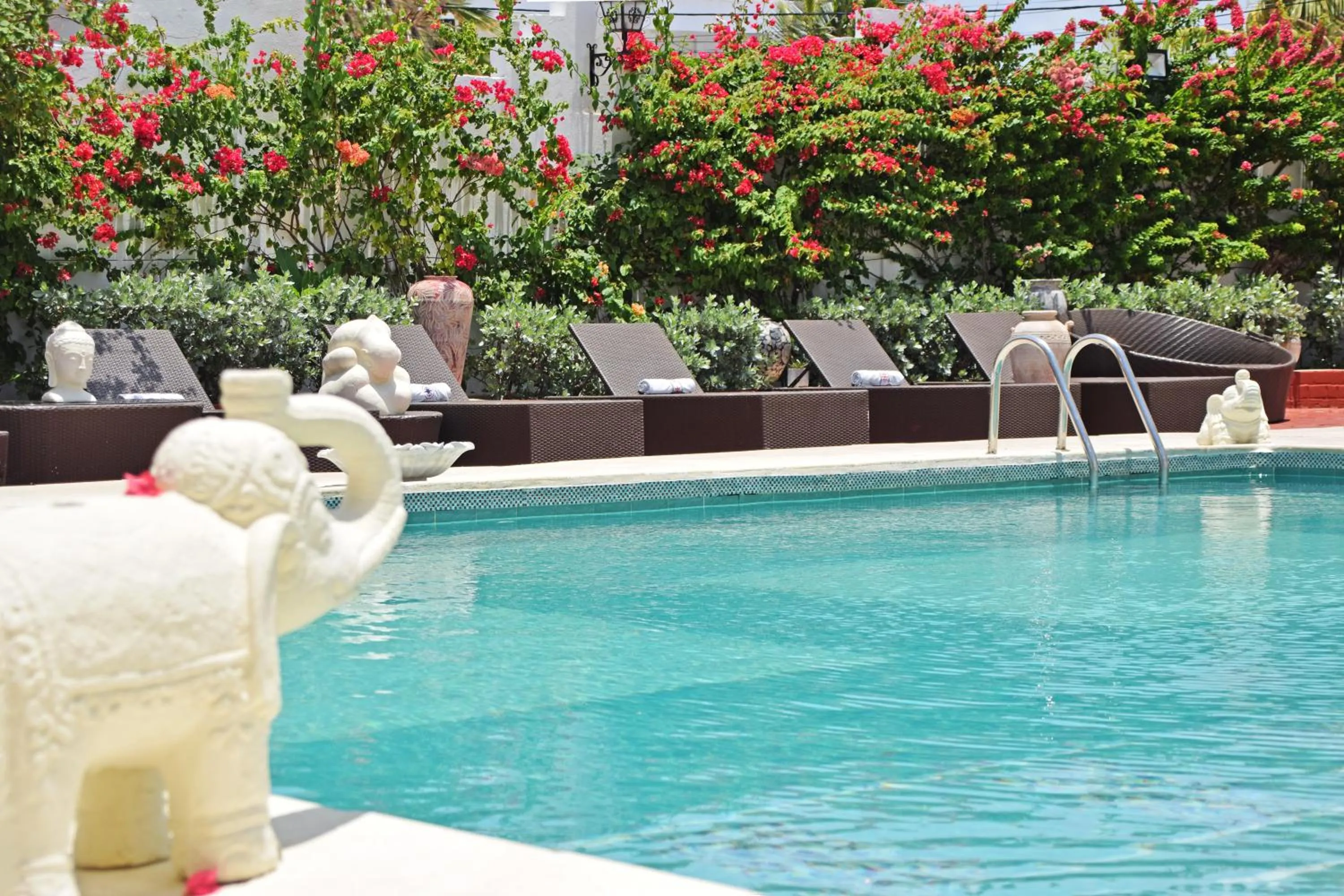 Garden in Le Castel Blanc Hotel Boutique