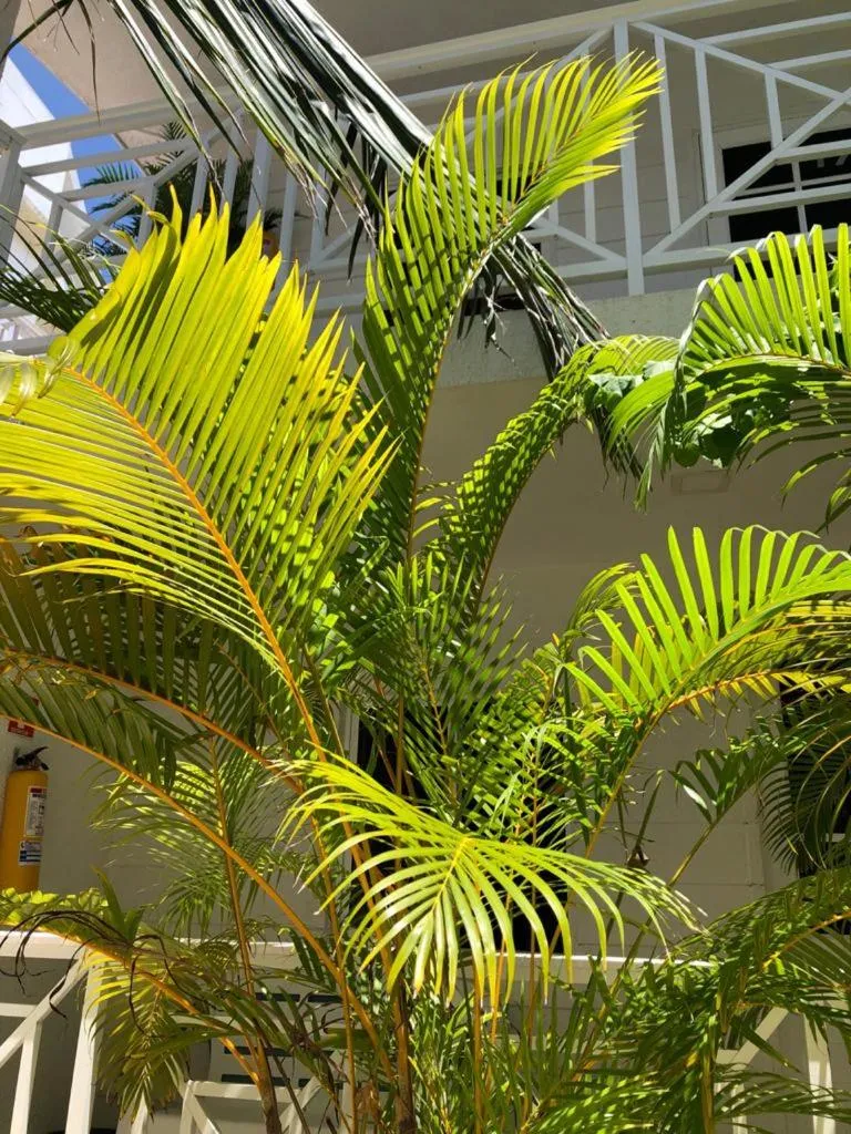 Natural landscape in Le Castel Blanc Hotel Boutique