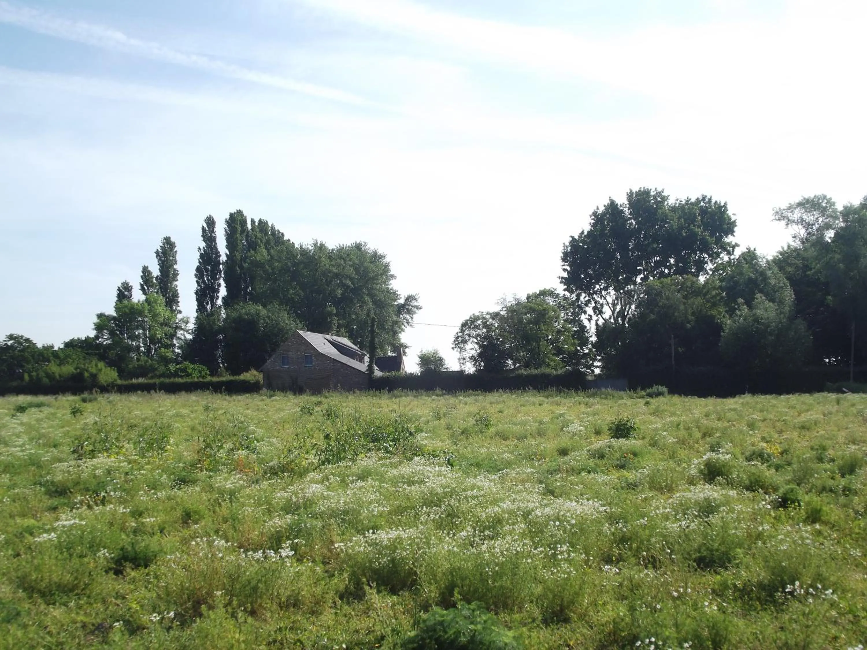 Natural landscape in Au Bonheur Frontalier