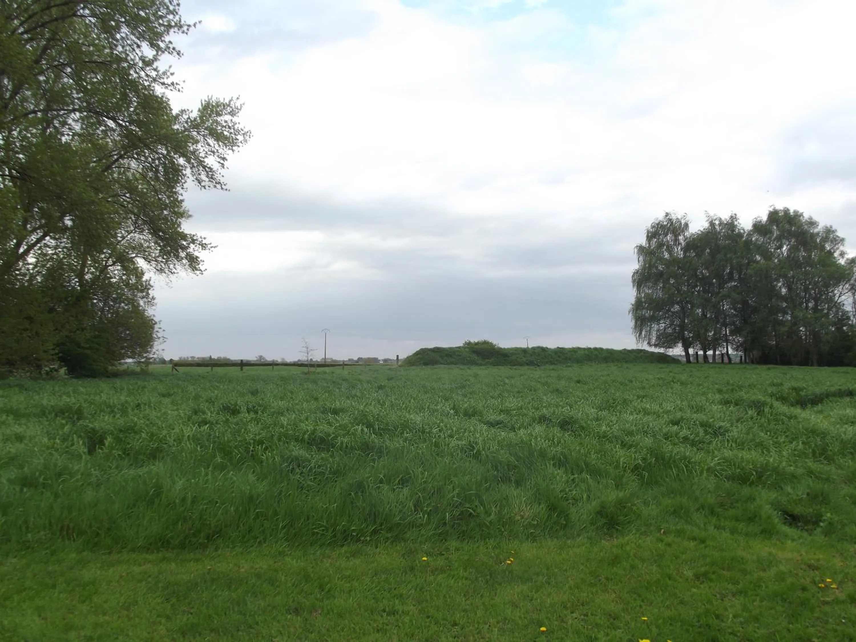 Garden view in Au Bonheur Frontalier
