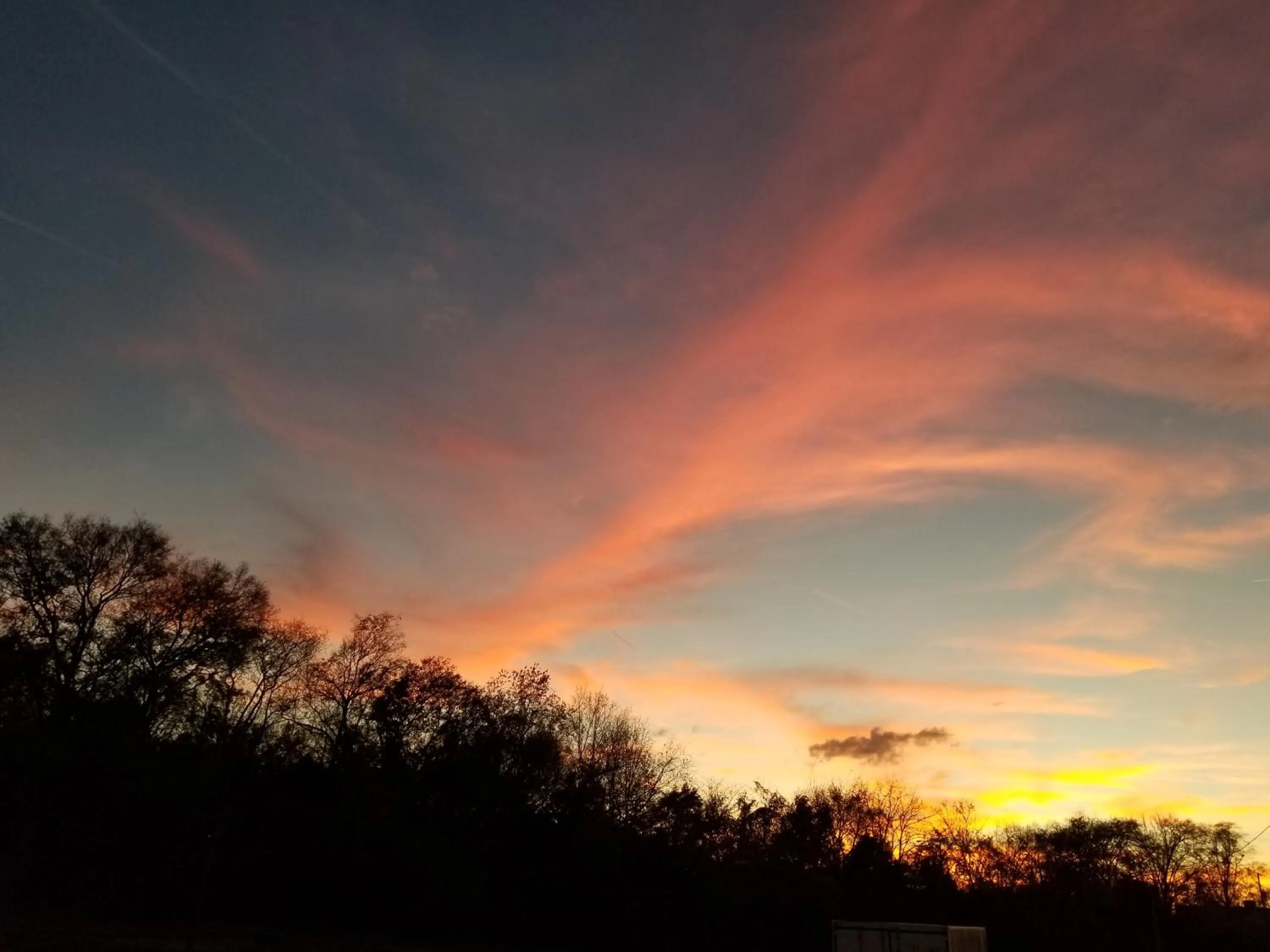 Natural landscape in Drakes Creek Inn - formerly The Relax Inn