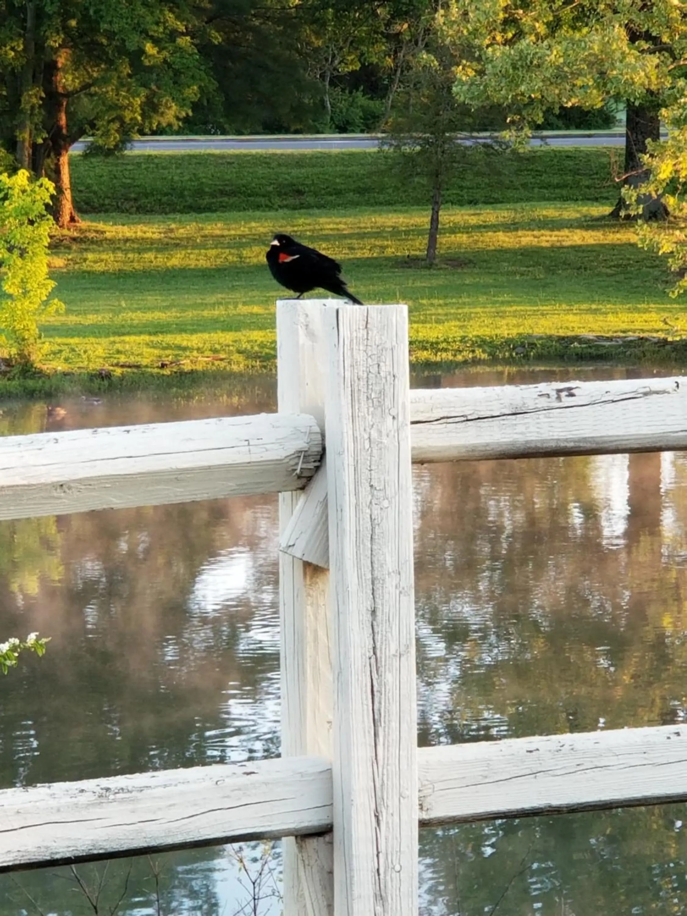 Natural landscape in Drakes Creek Inn - formerly The Relax Inn