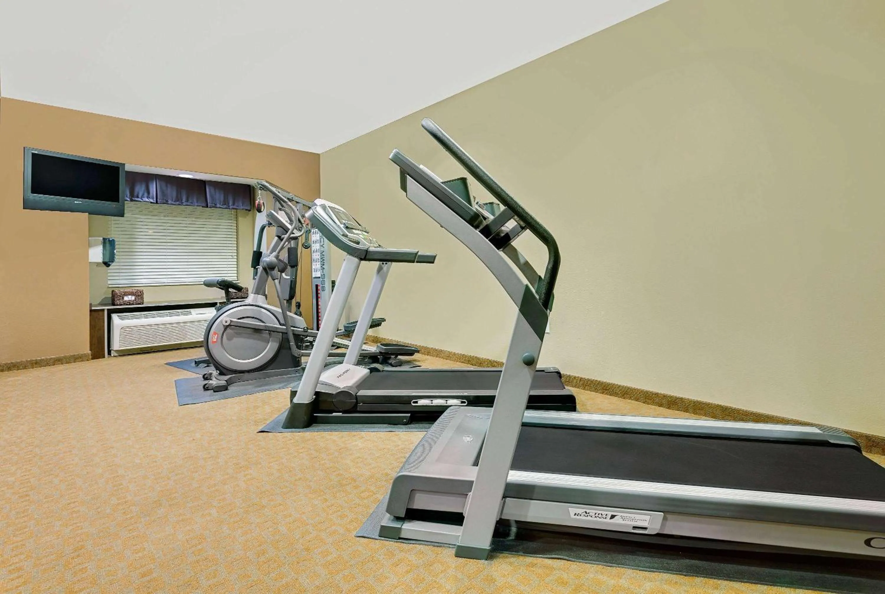 Fitness centre/facilities in Microtel by Wyndham Perry National Fairground Area I-75