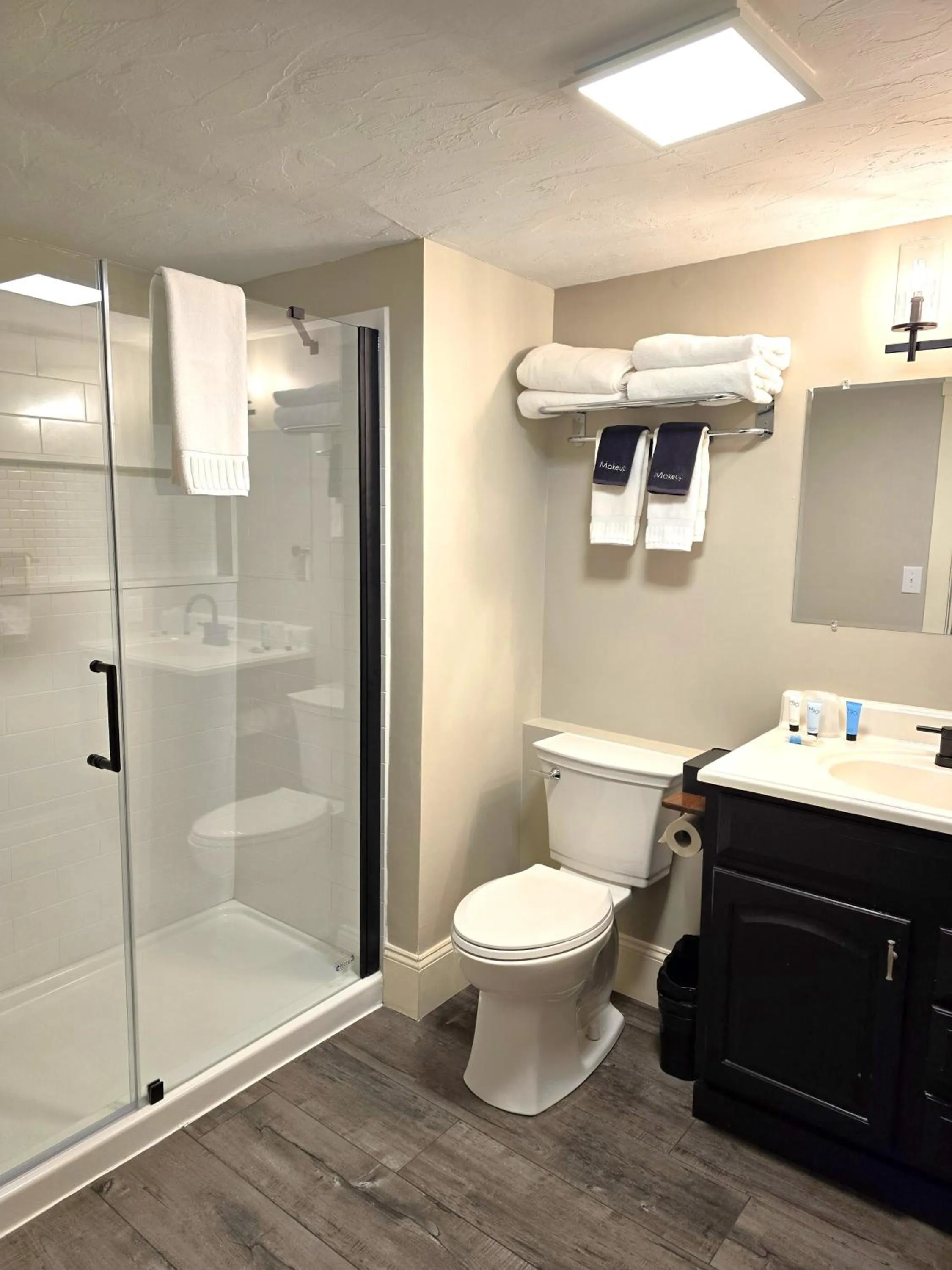 Shower in Gunstock Inn & Suites
