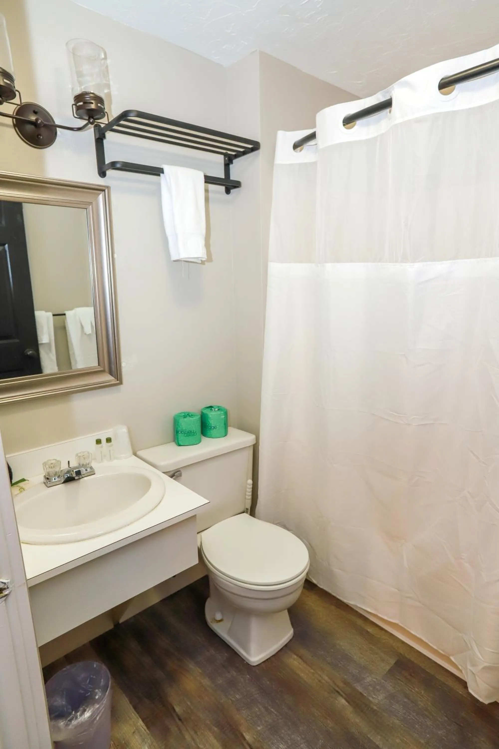 Bathroom in Gunstock Inn & Suites