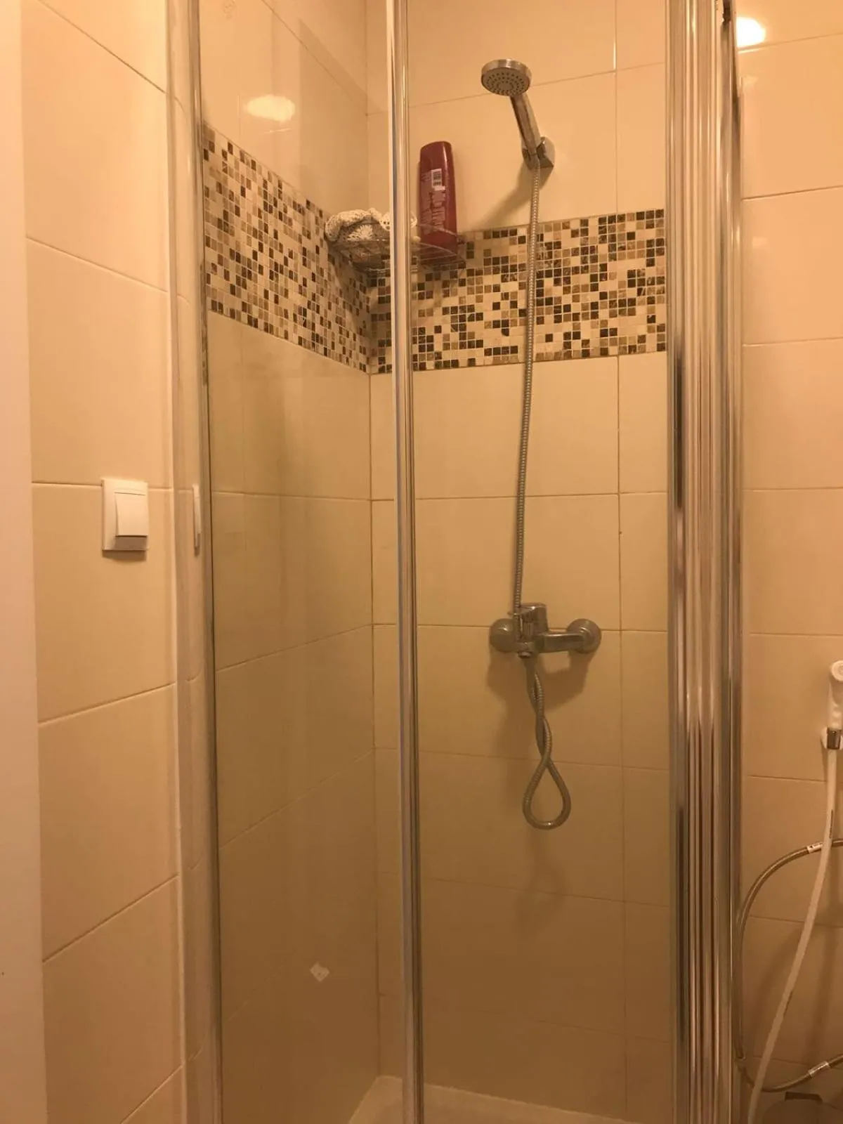 Shower in Castle Apartment