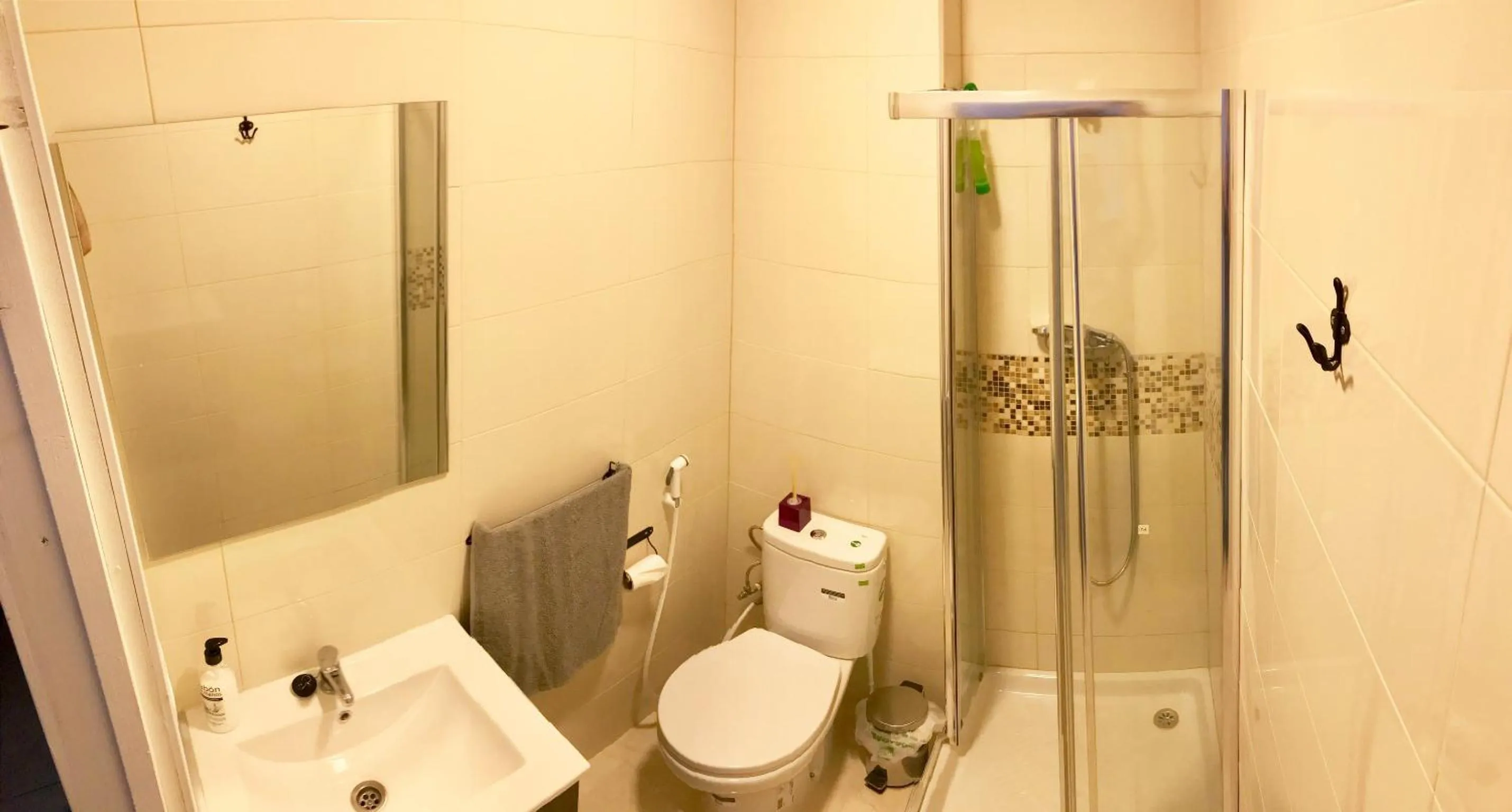 Shower in Castle Apartment