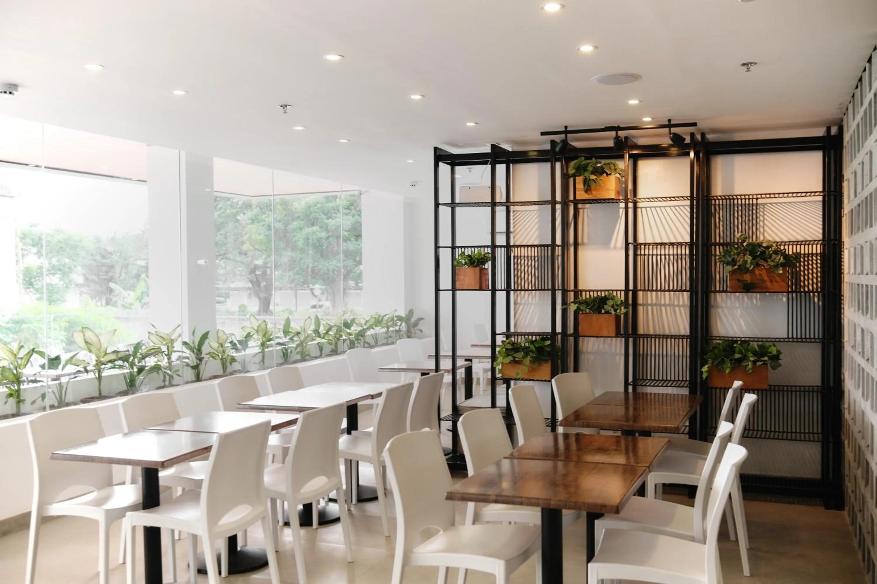 Restaurant/places to eat in Casa Veles Hotel