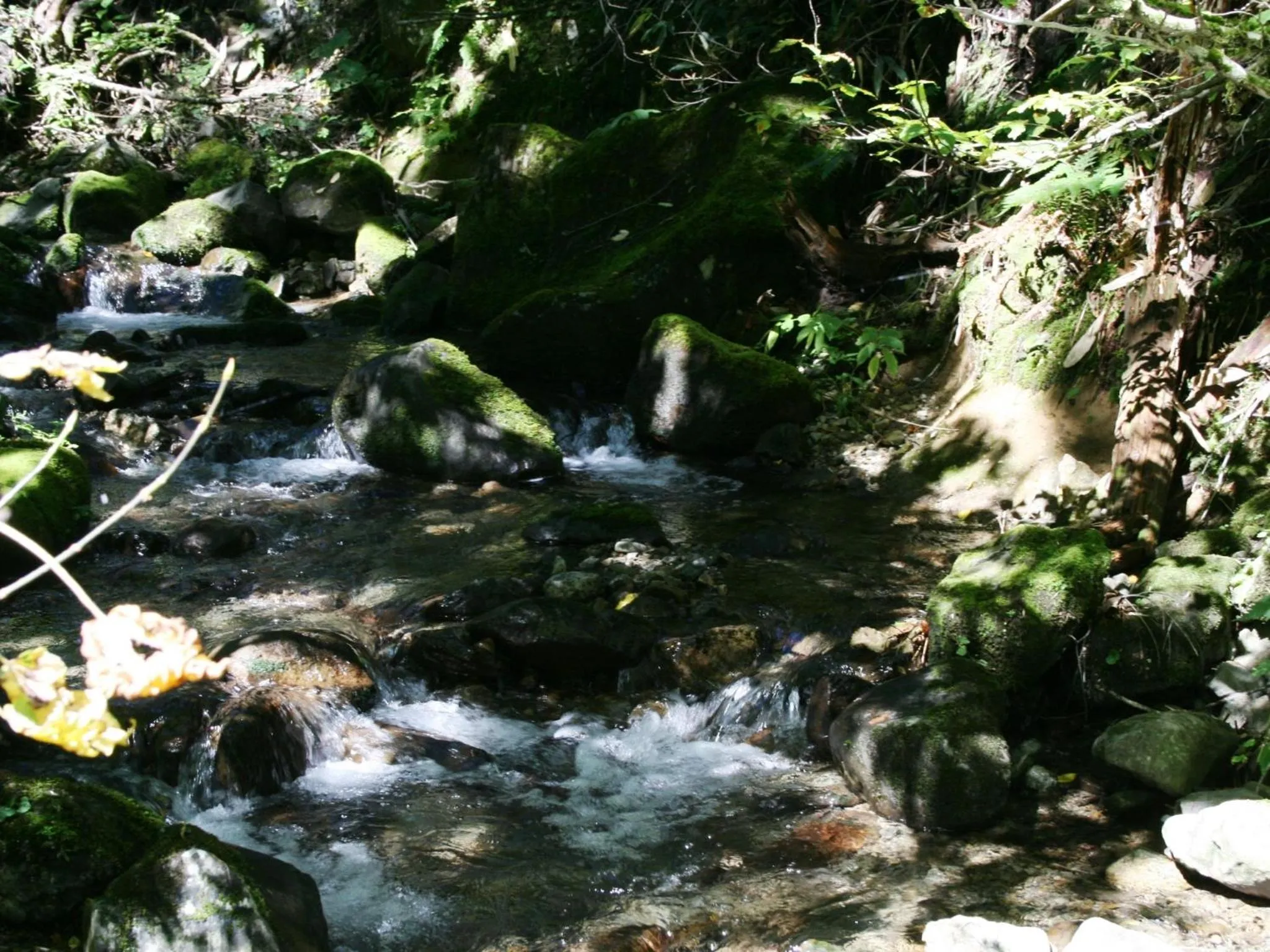 Off site in Hotel Abest Happo Aldea