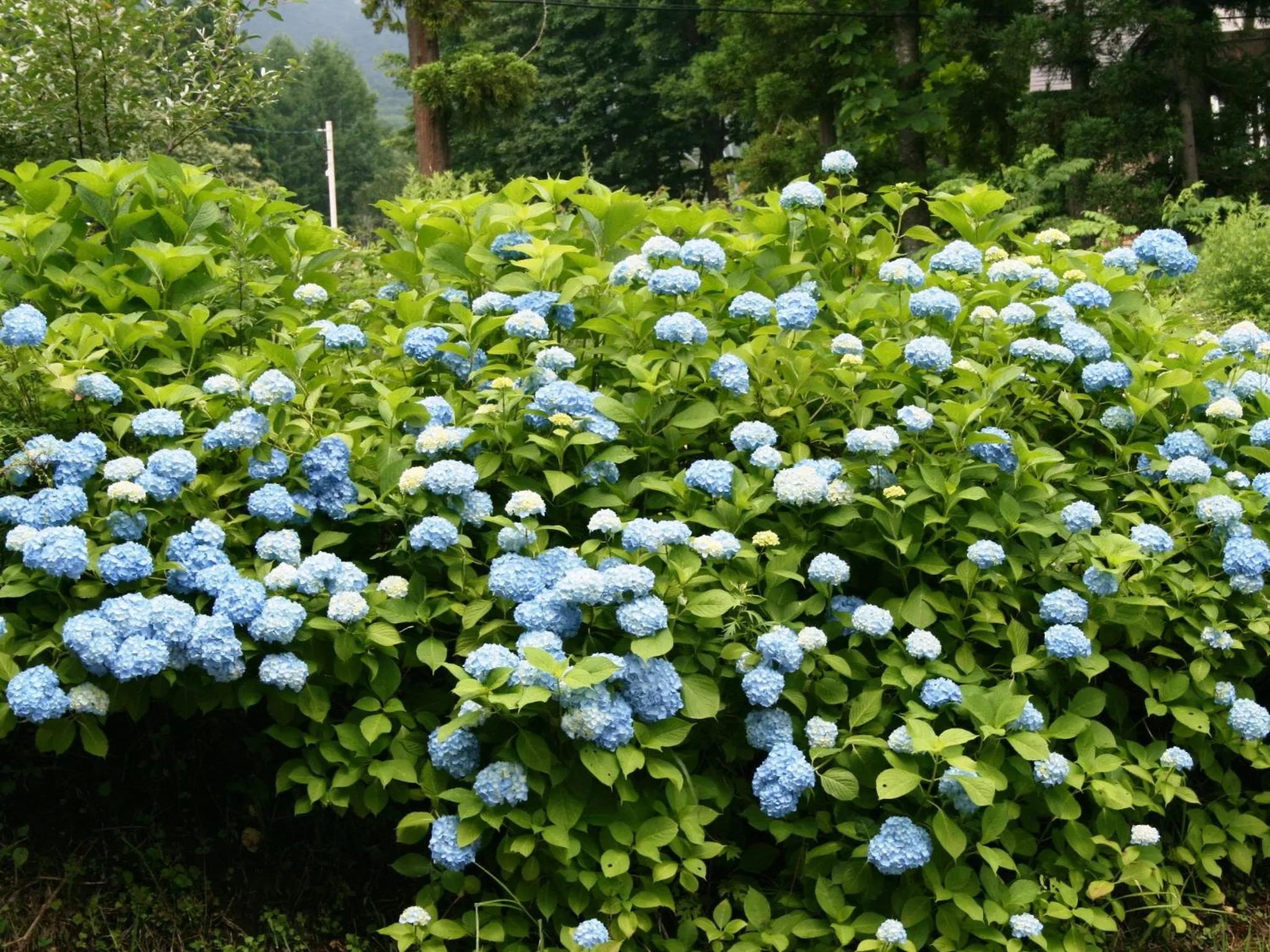 Off site in Hotel Abest Happo Aldea