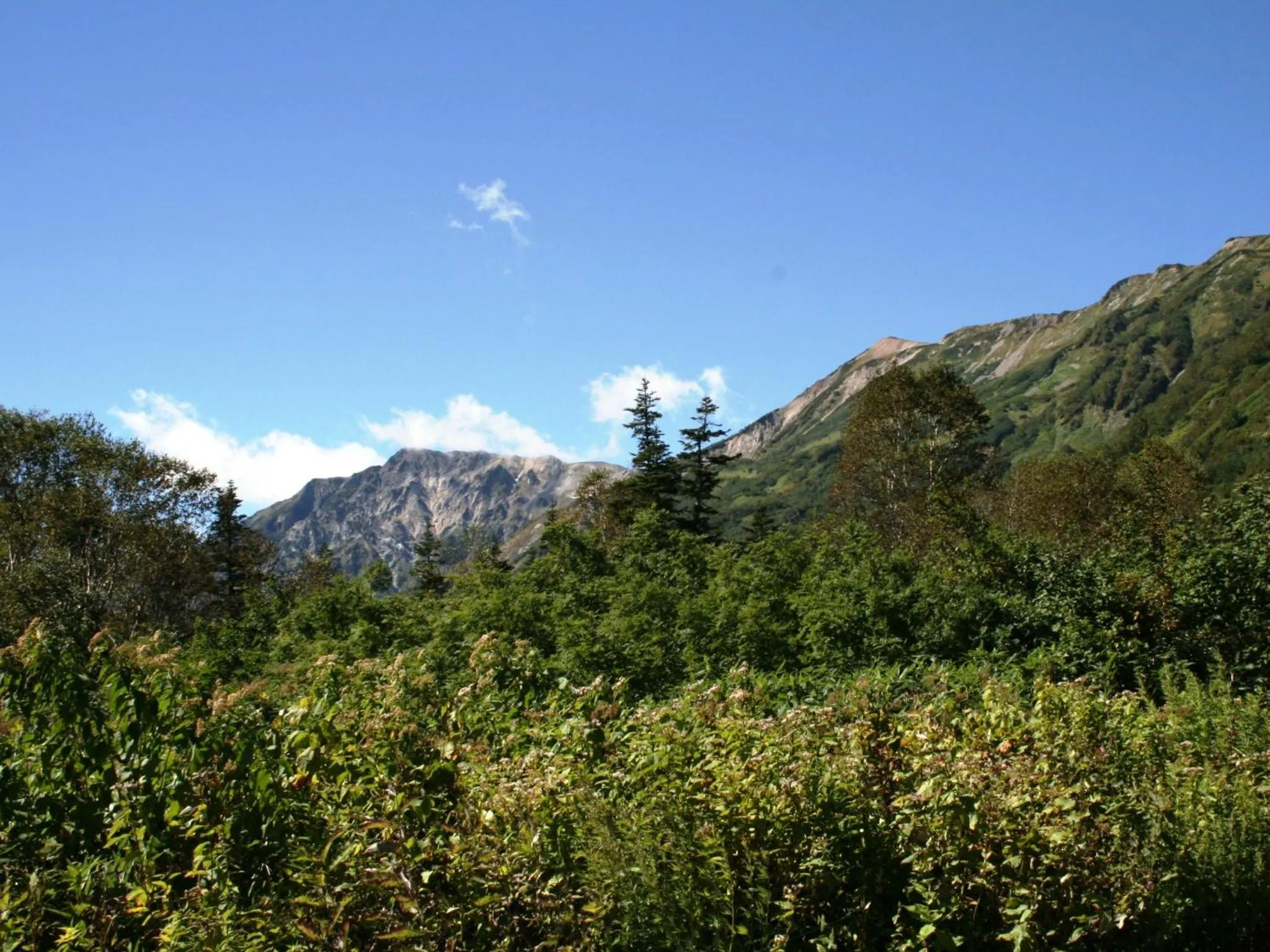 Off site in Hotel Abest Happo Aldea