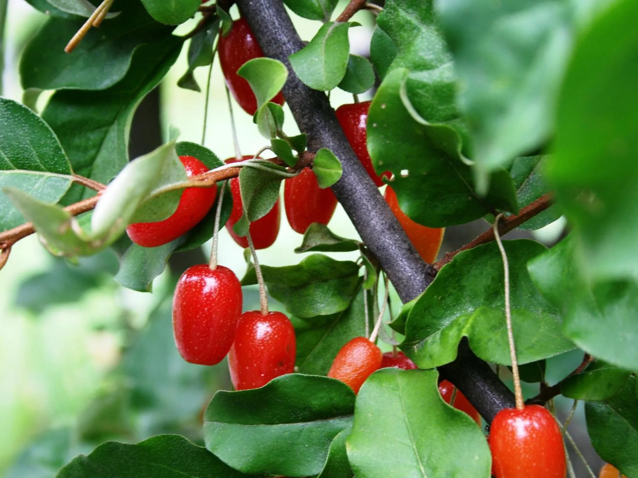 Off site in Hotel Abest Happo Aldea