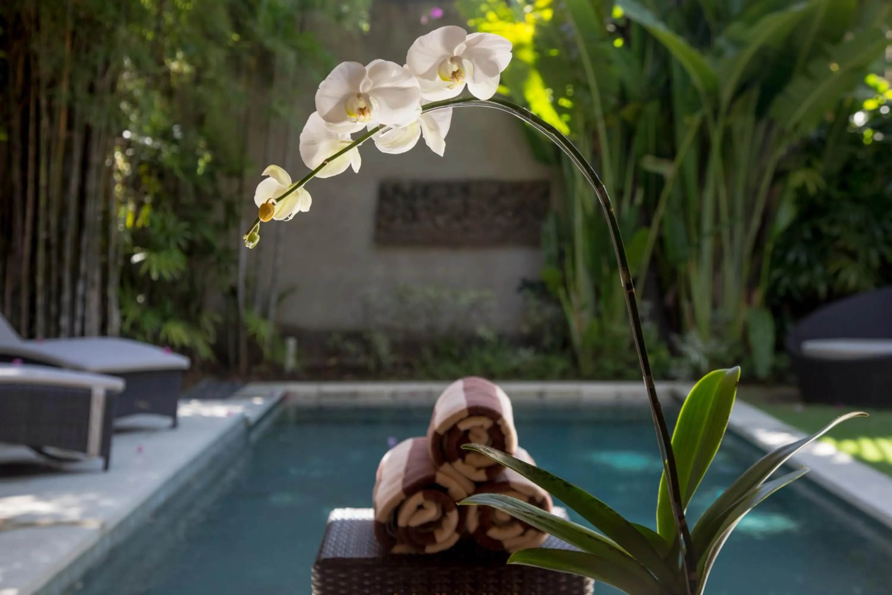 Garden in Villa Air Bali Boutique Resort and Spa