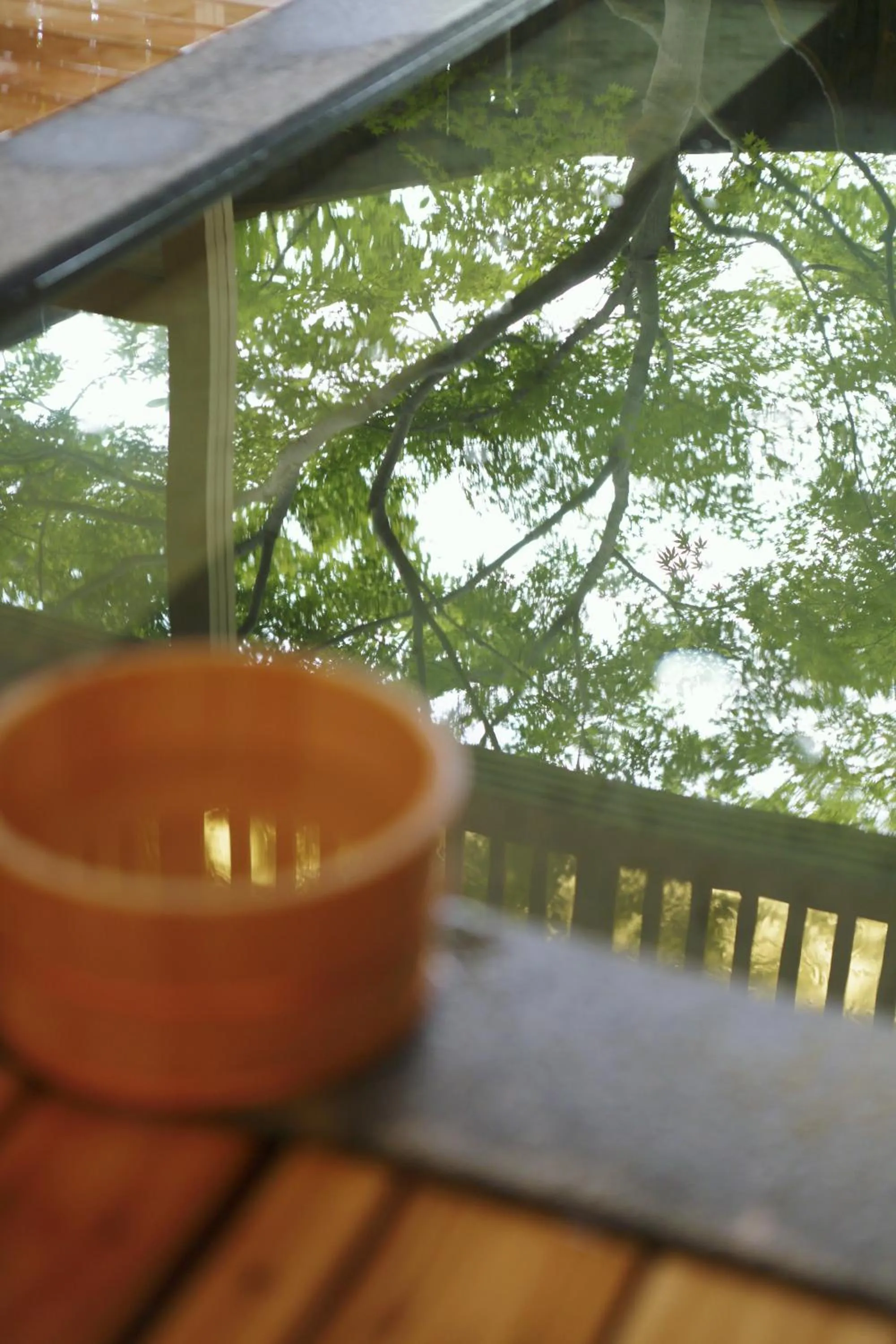 Hot Spring Bath in Negiya Ryofukaku