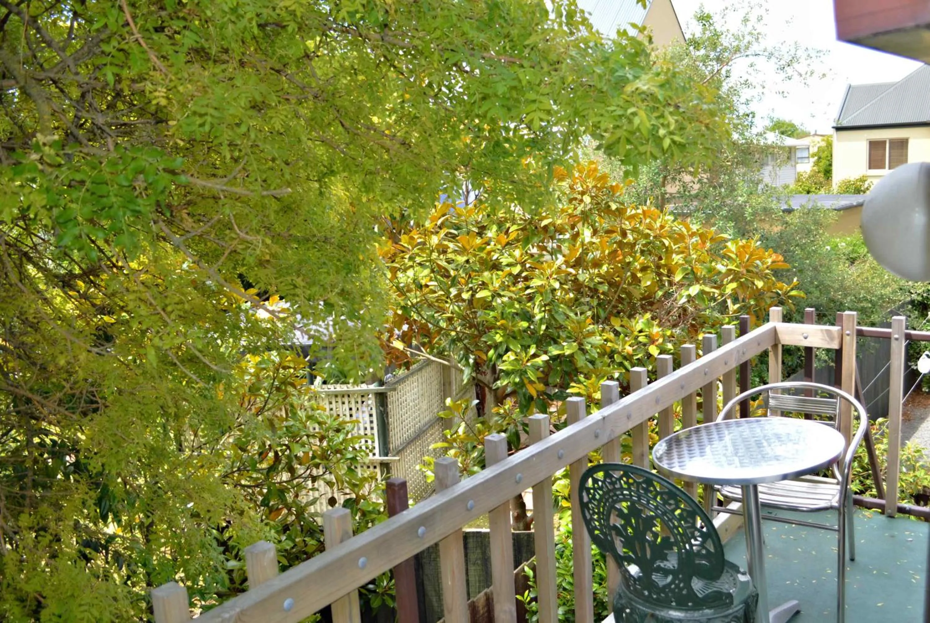 Garden in Southern Comfort Motel