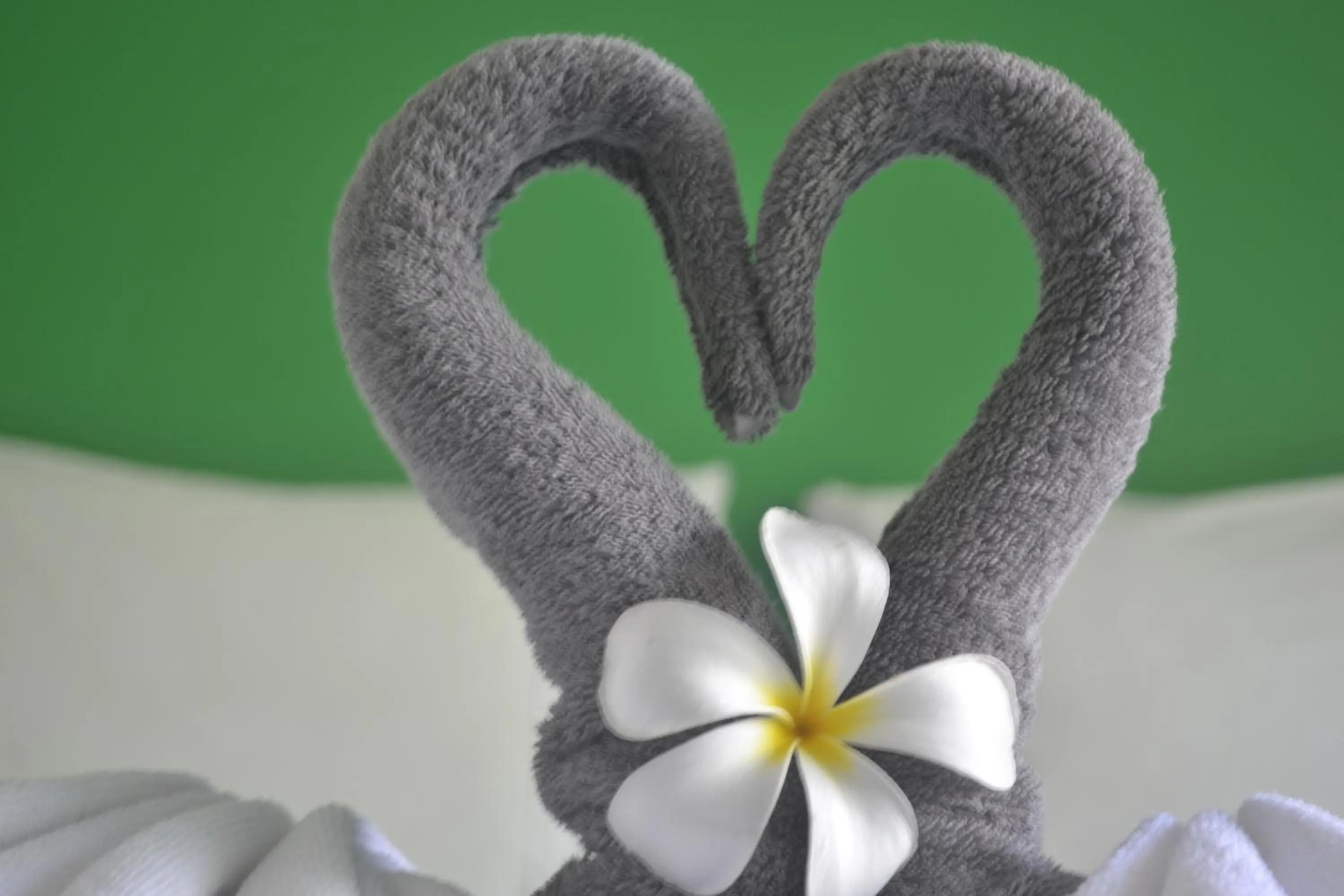 Other in Baan Andaman Sea Surf