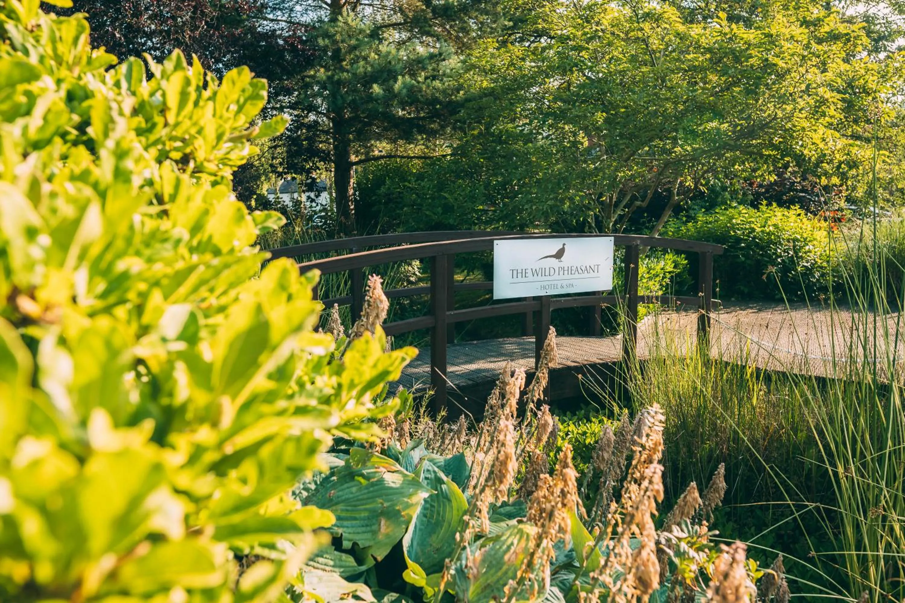 Spring in Wild Pheasant Hotel & Spa