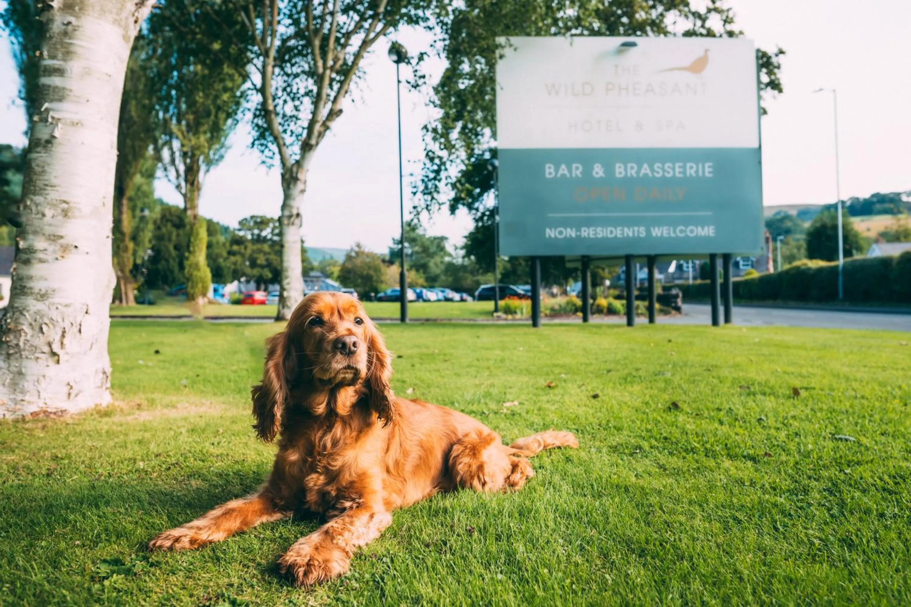 Day in Wild Pheasant Hotel & Spa