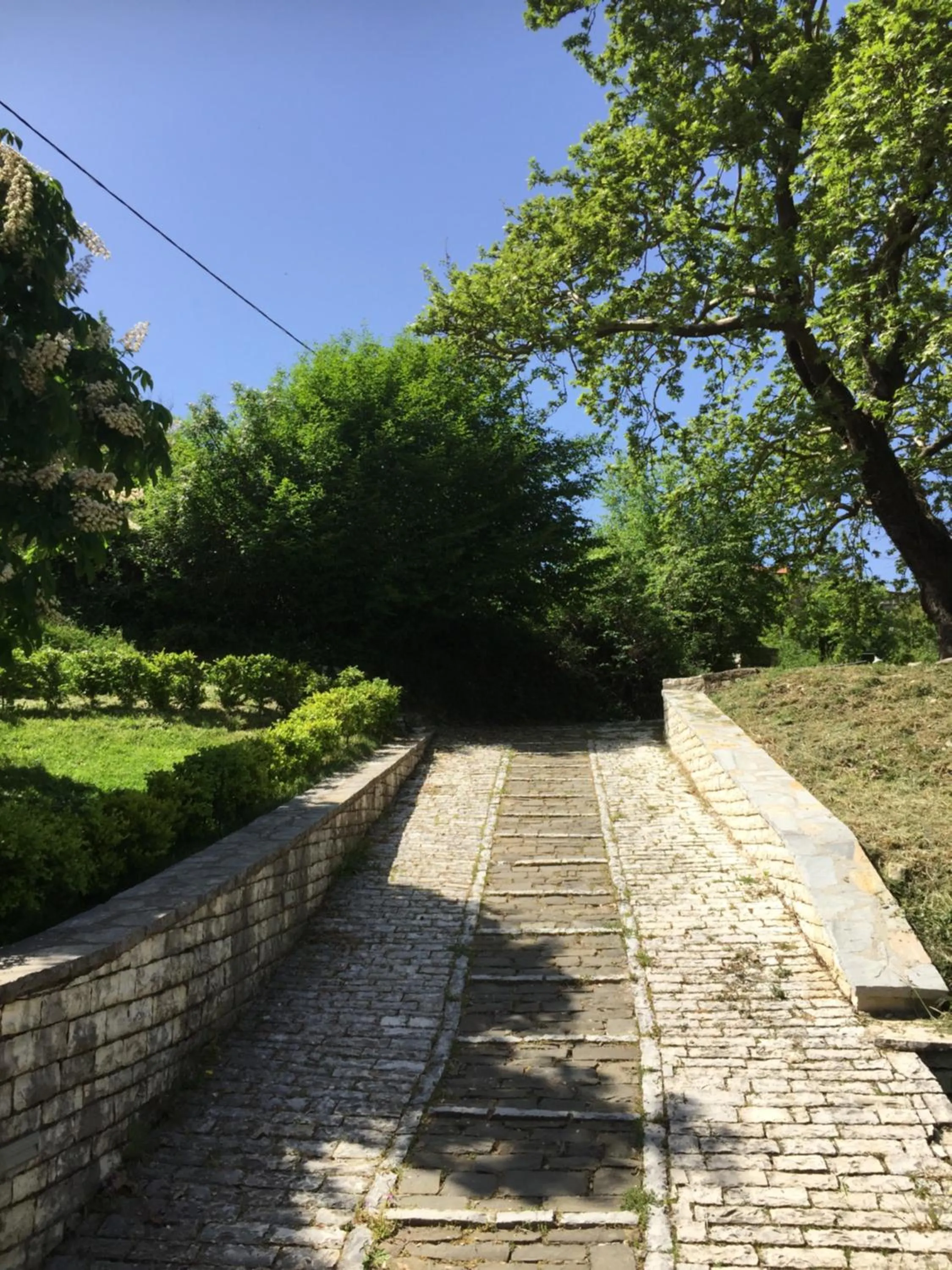 Natural landscape in Artsistas Houses