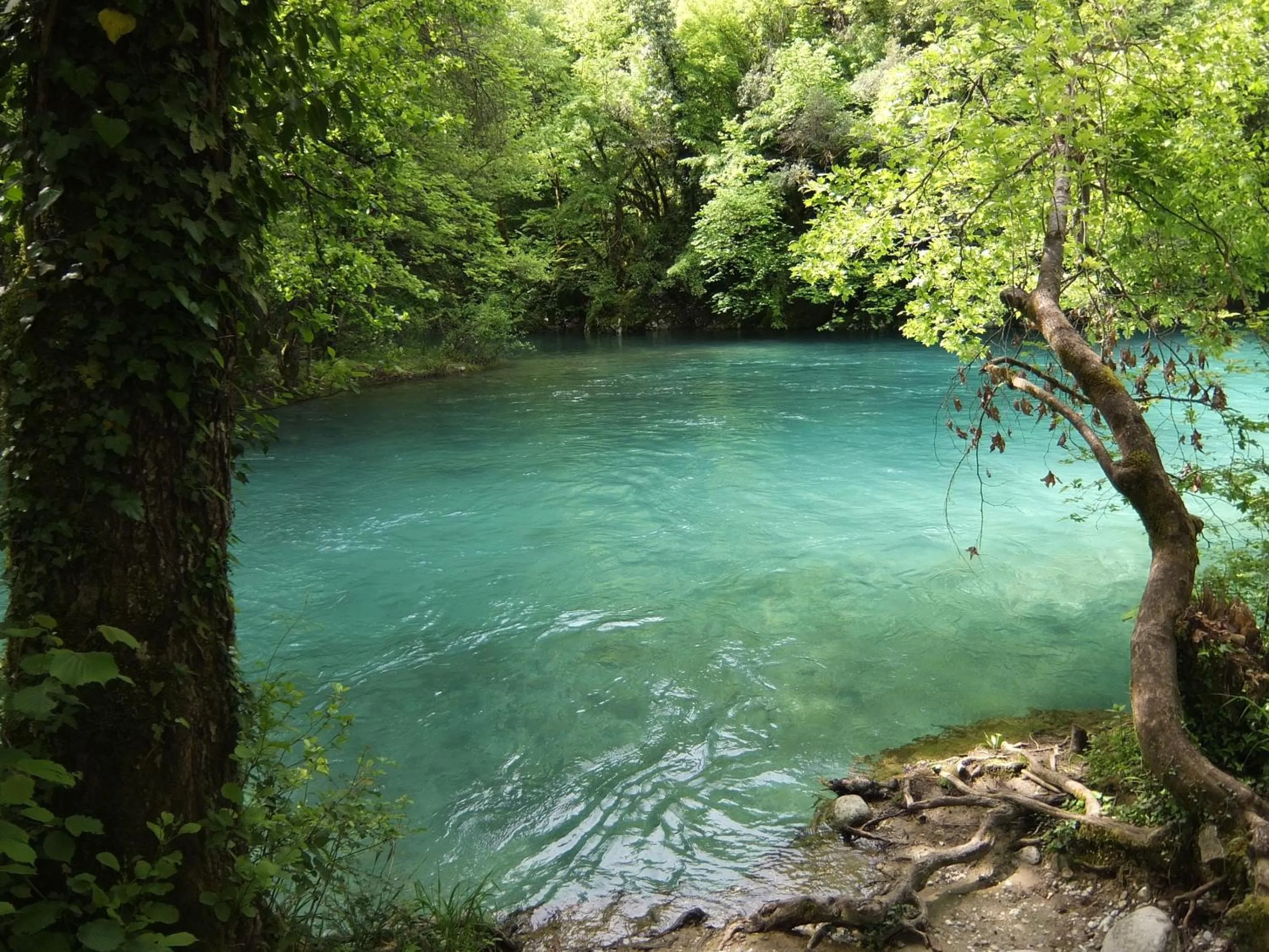 Sports in Artsistas Houses