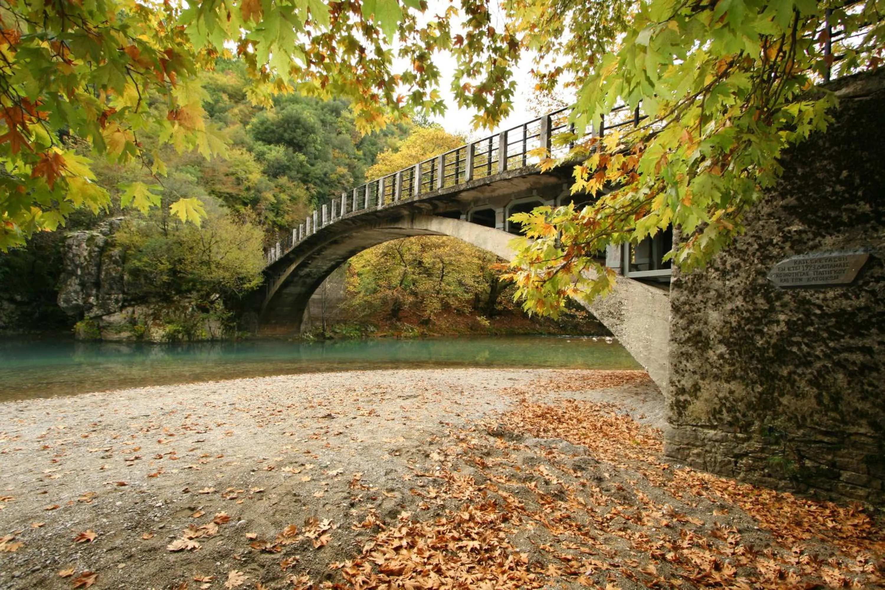 Day in Artsistas Houses