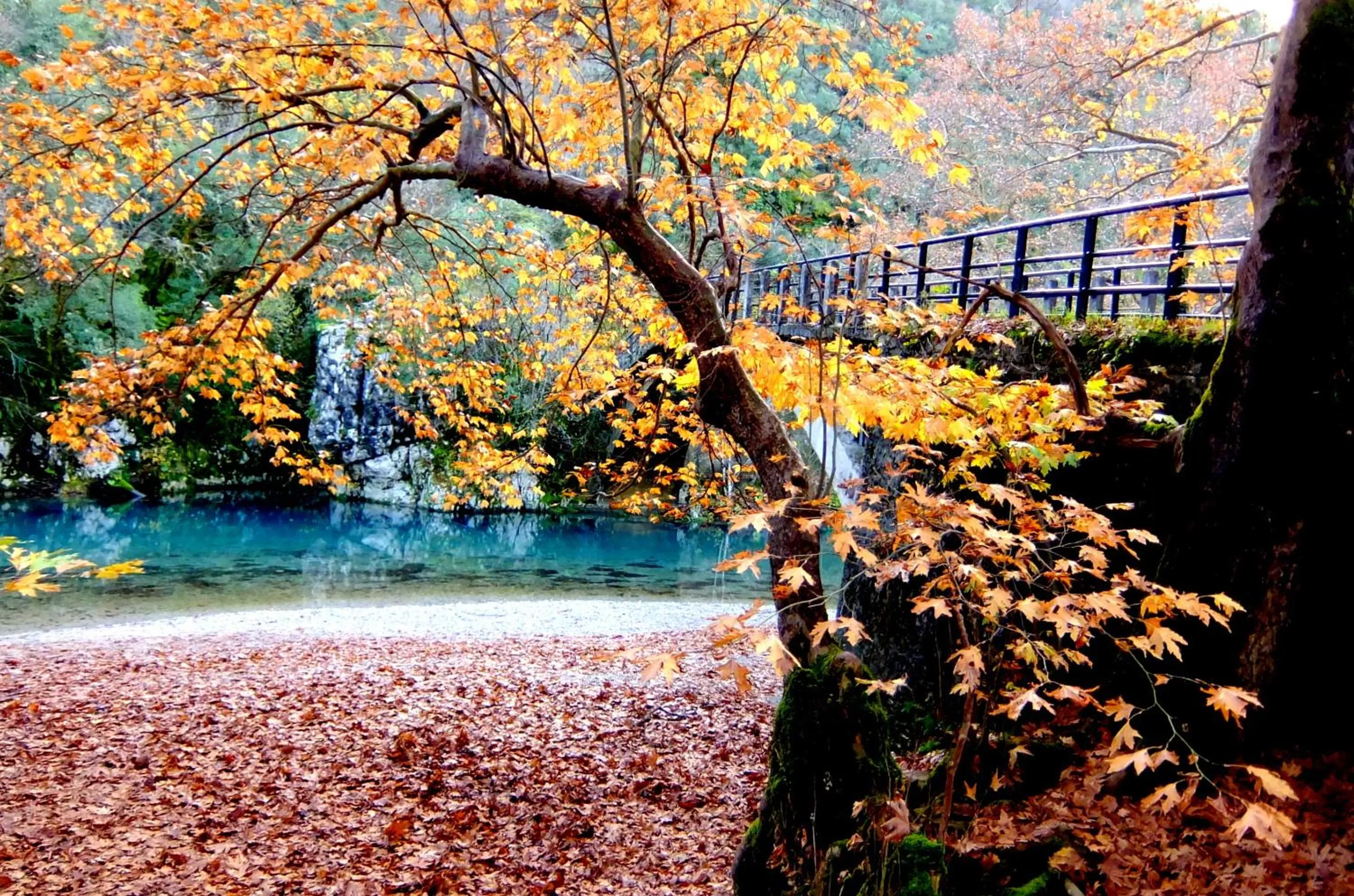 Autumn in Artsistas Houses