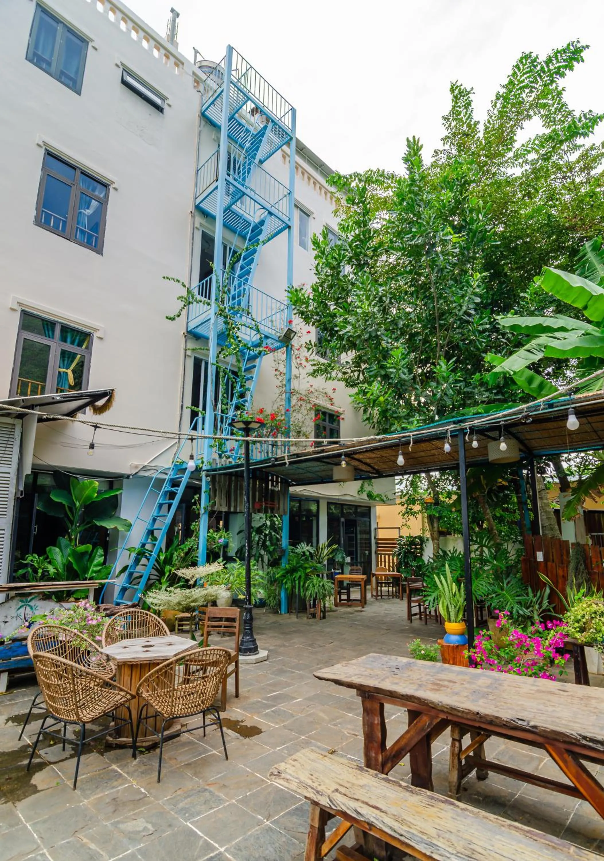 Garden in Hotel De Condor