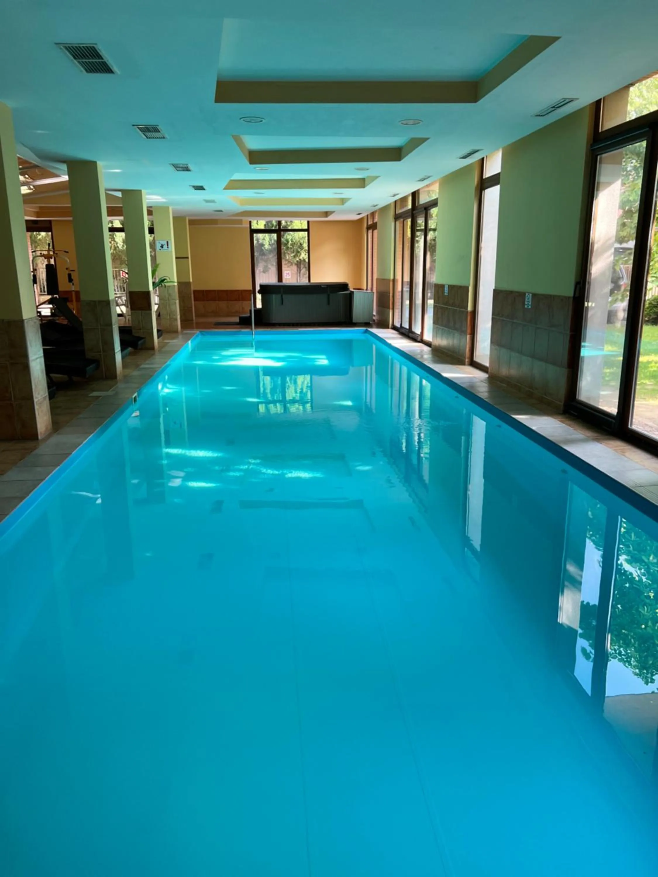 Swimming pool in Dorina Wellness Apartman
