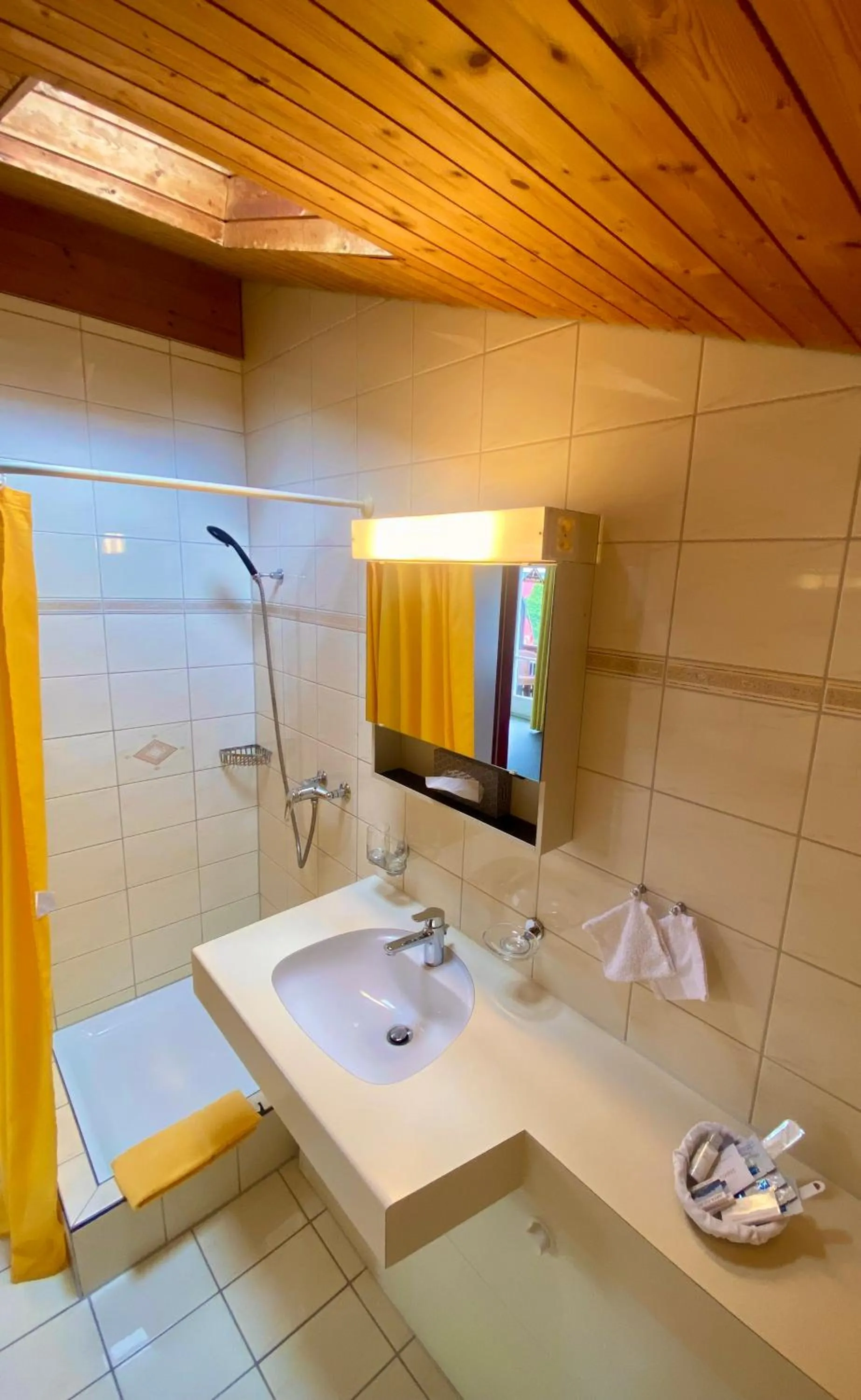 Bathroom in Gasthof zum Roten Löwen