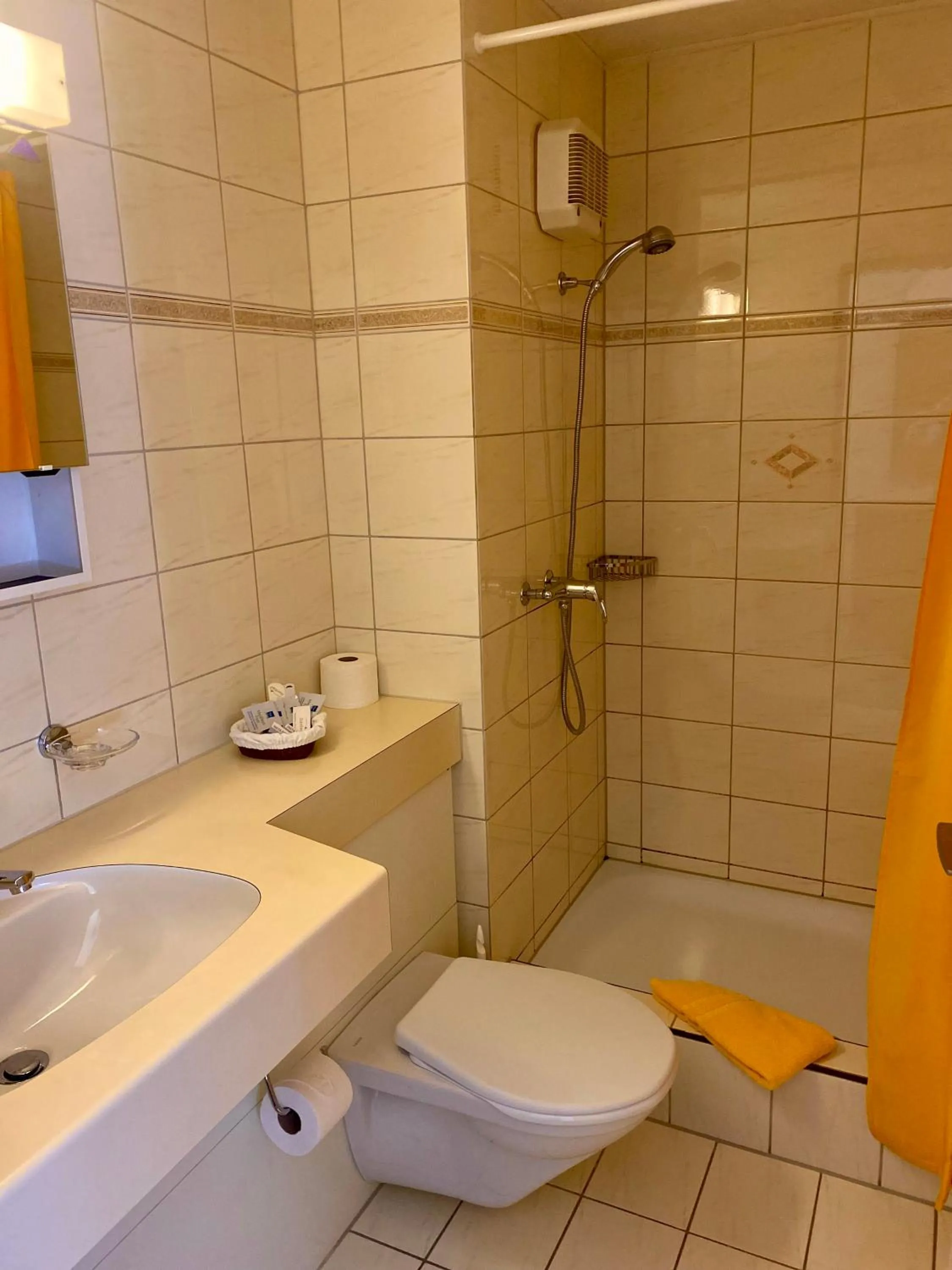 Bathroom in Gasthof zum Roten Löwen