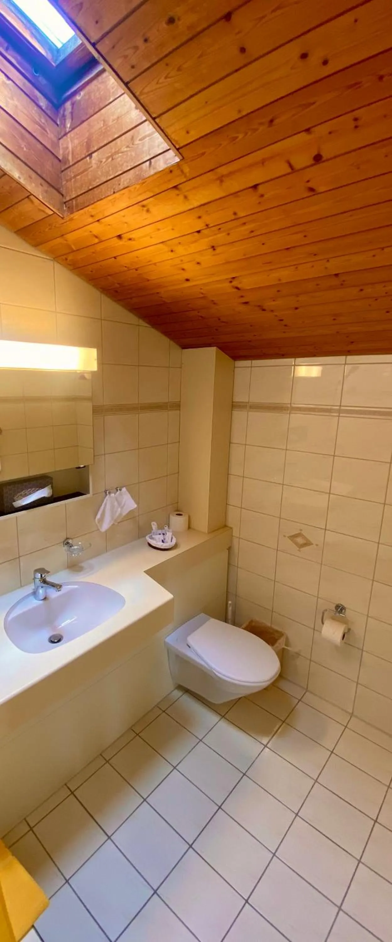 Bathroom in Gasthof zum Roten Löwen