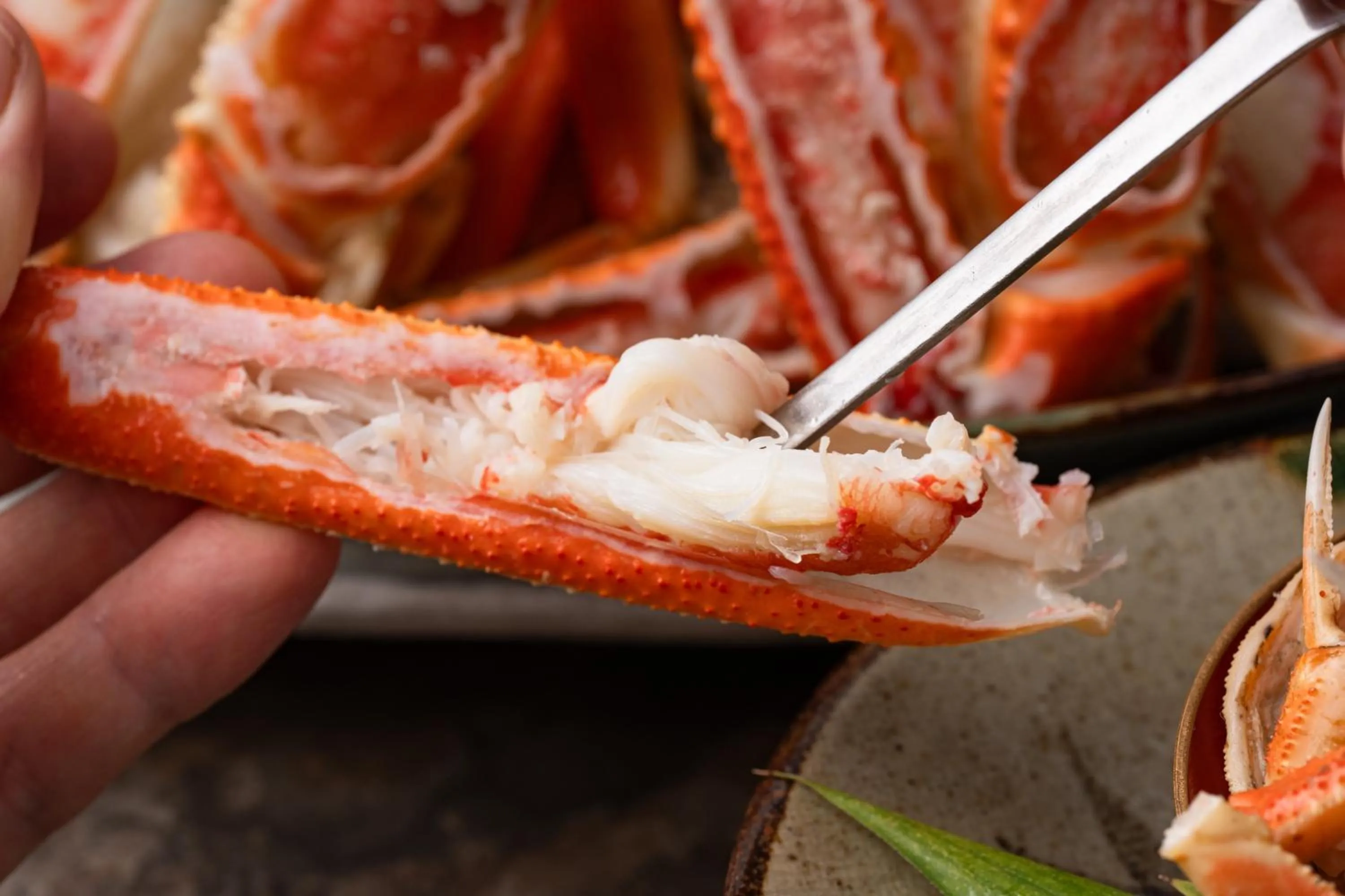 Dinner in Tokigasane