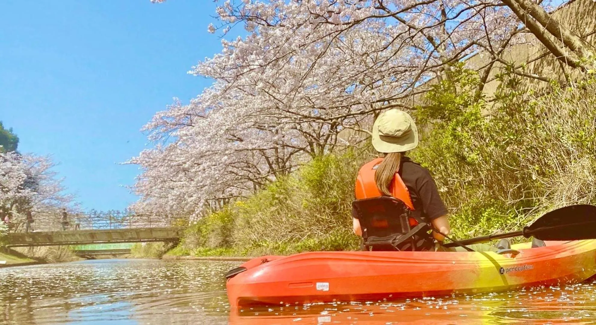 Property building in Tokigasane