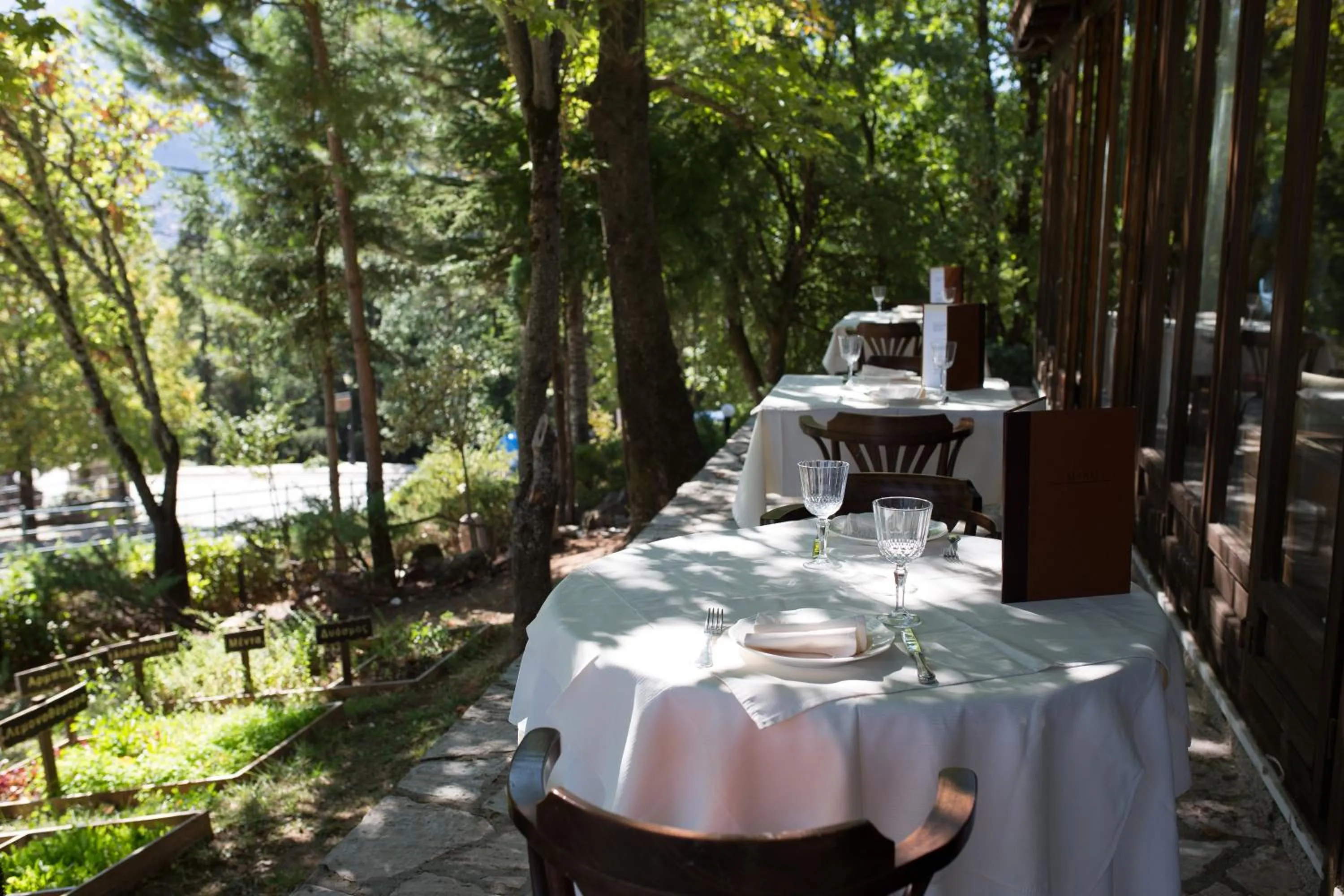 Restaurant/places to eat in Country Club Hotel & Suites