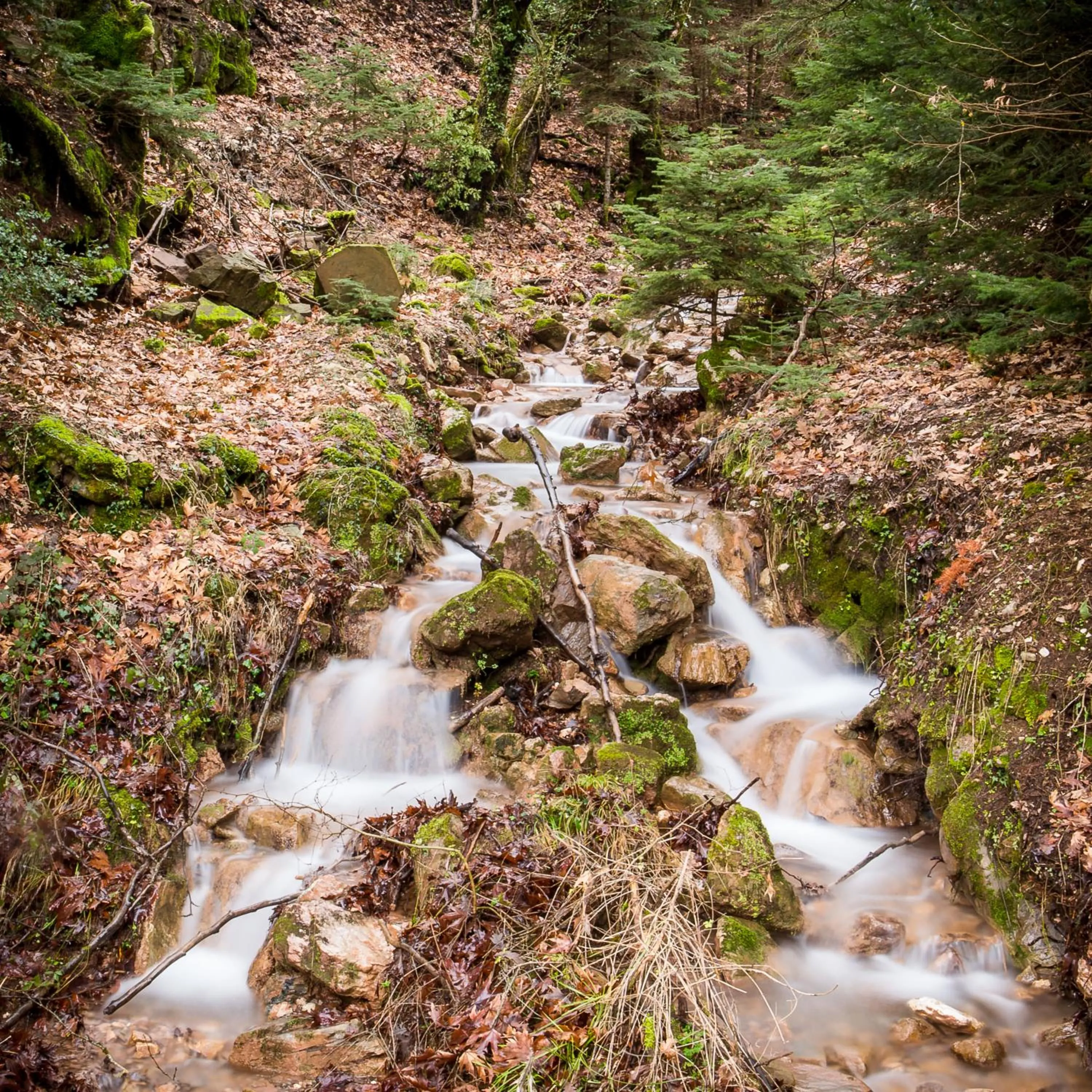 Nearby landmark in Country Club Hotel & Suites